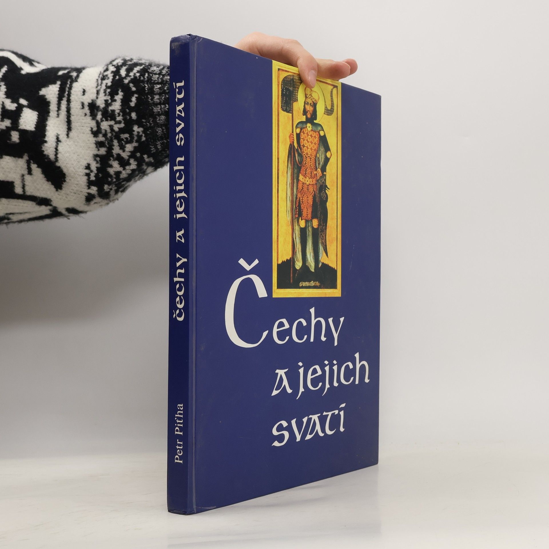 Petr Pit̕ha Čechy a jejich svatí