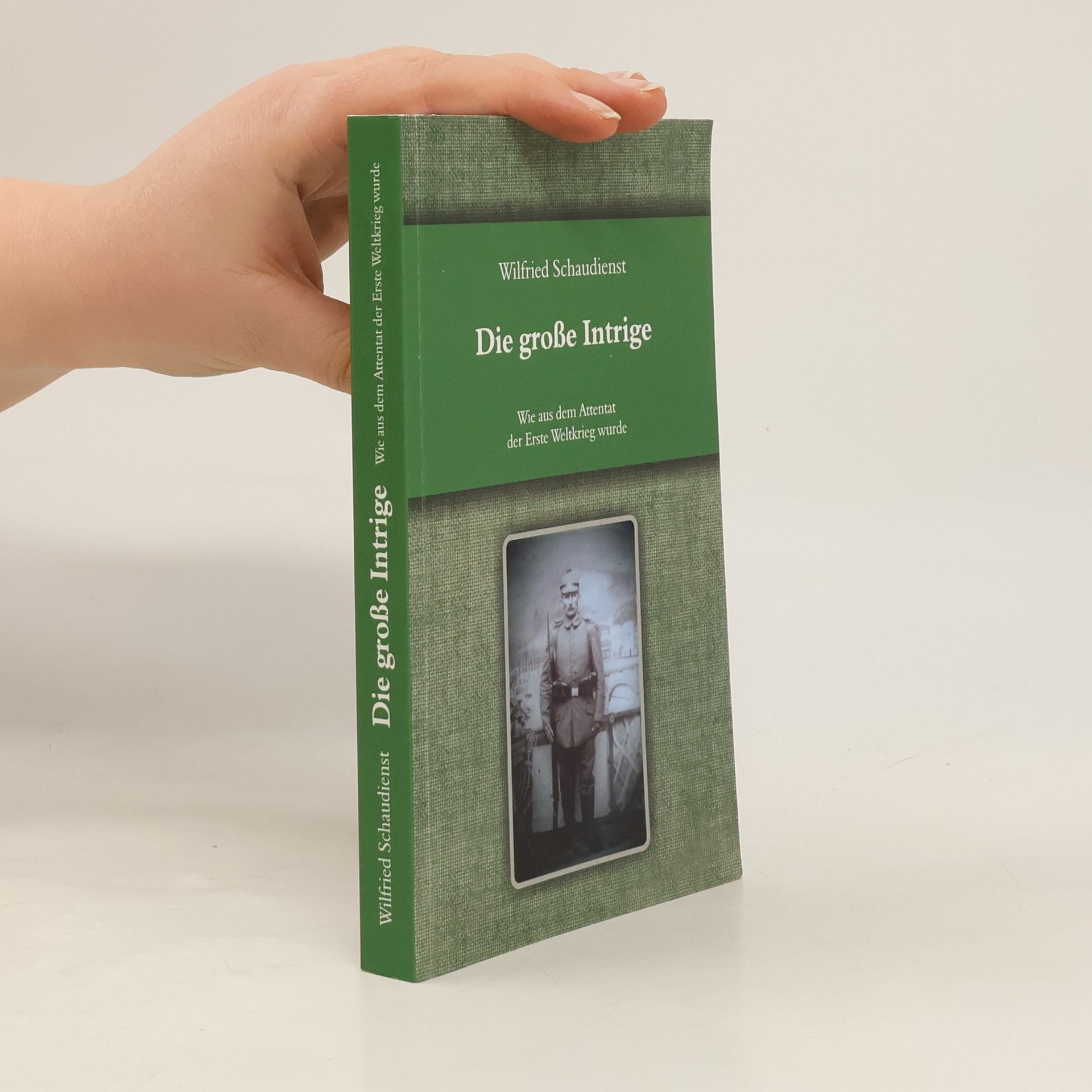 Wilfried Schaudienst Die große Intrige