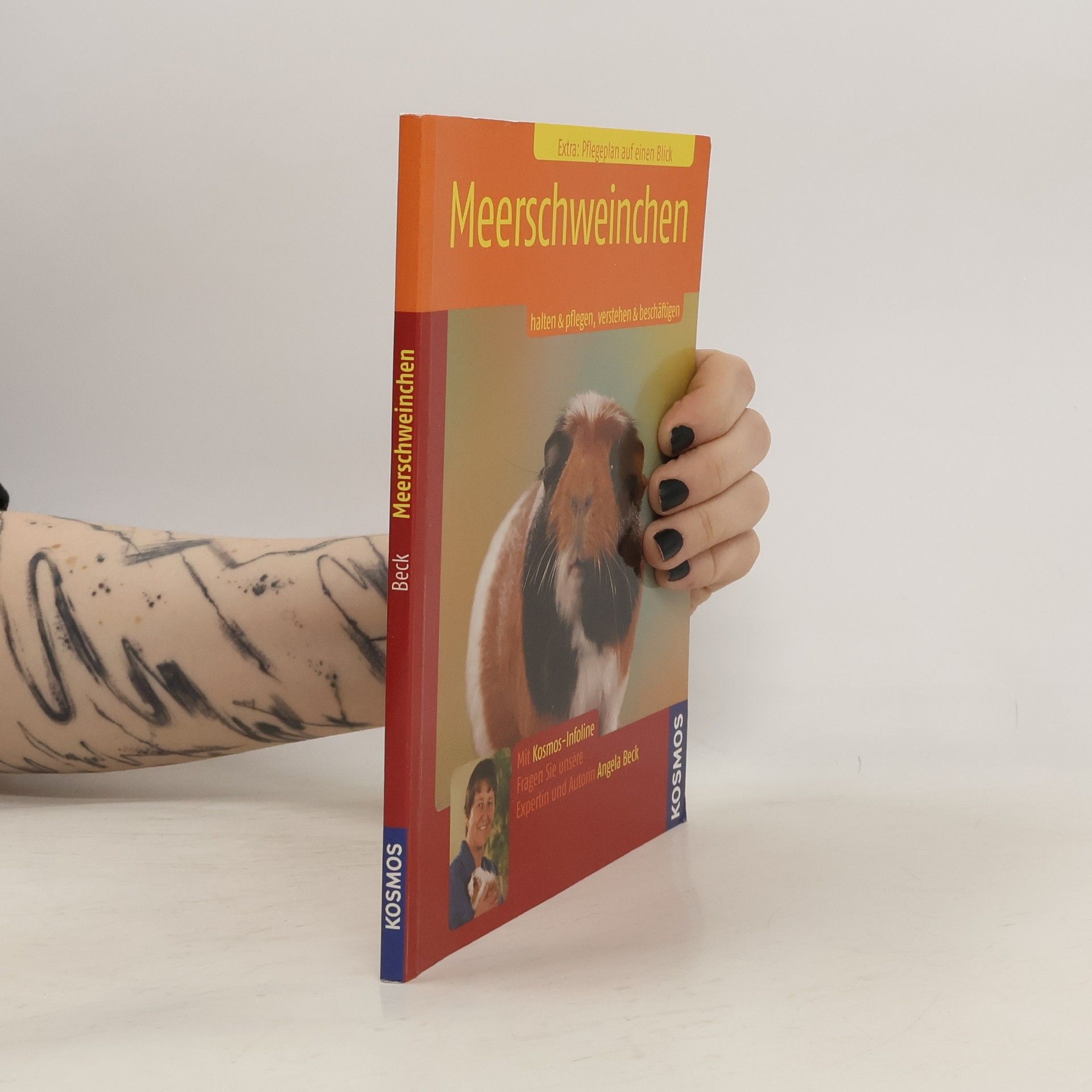 Angela Beck Meerschweinchen