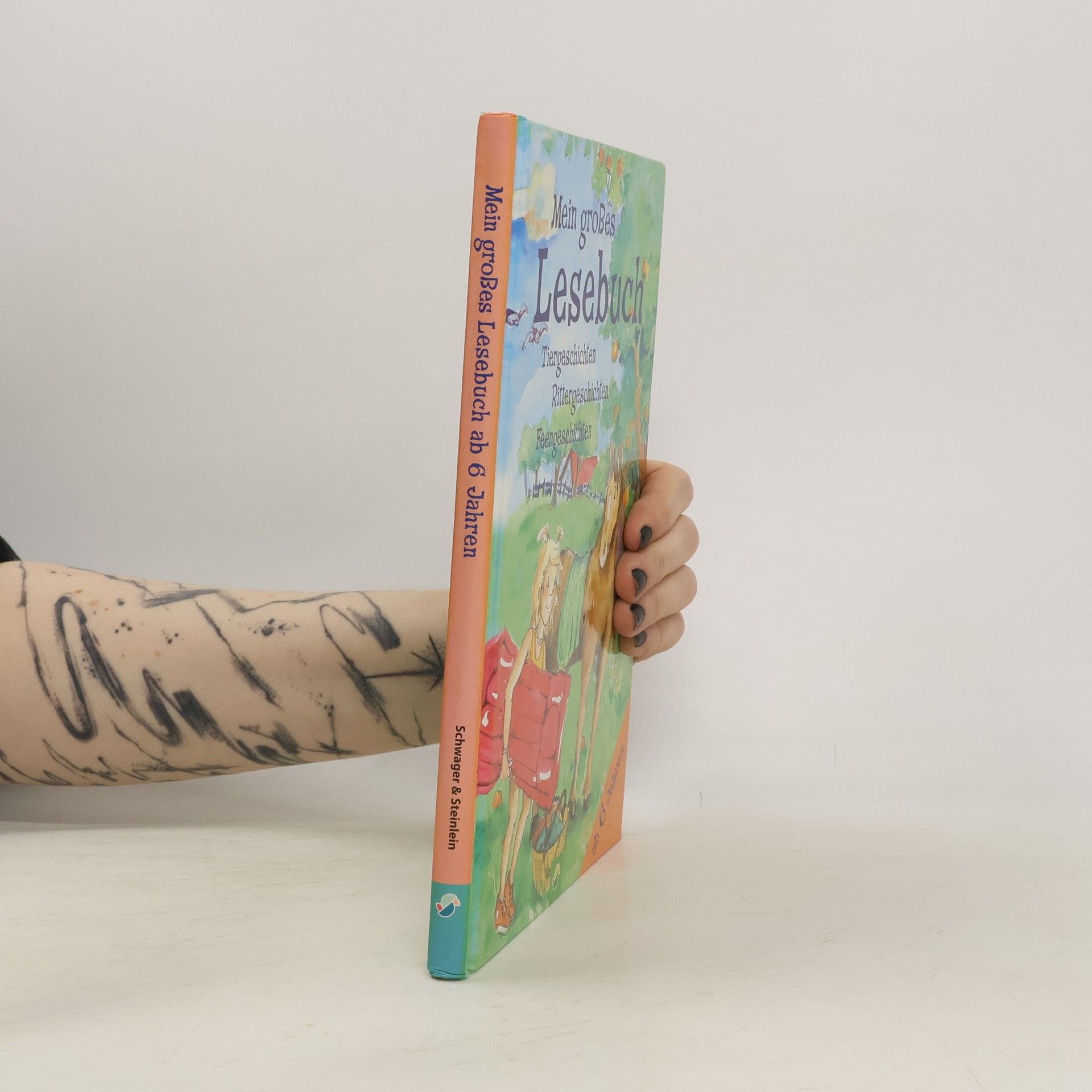 Various authors Mein großes Lesebuch. Tiergeschichten. Rittergeschichten. Feengeschichten