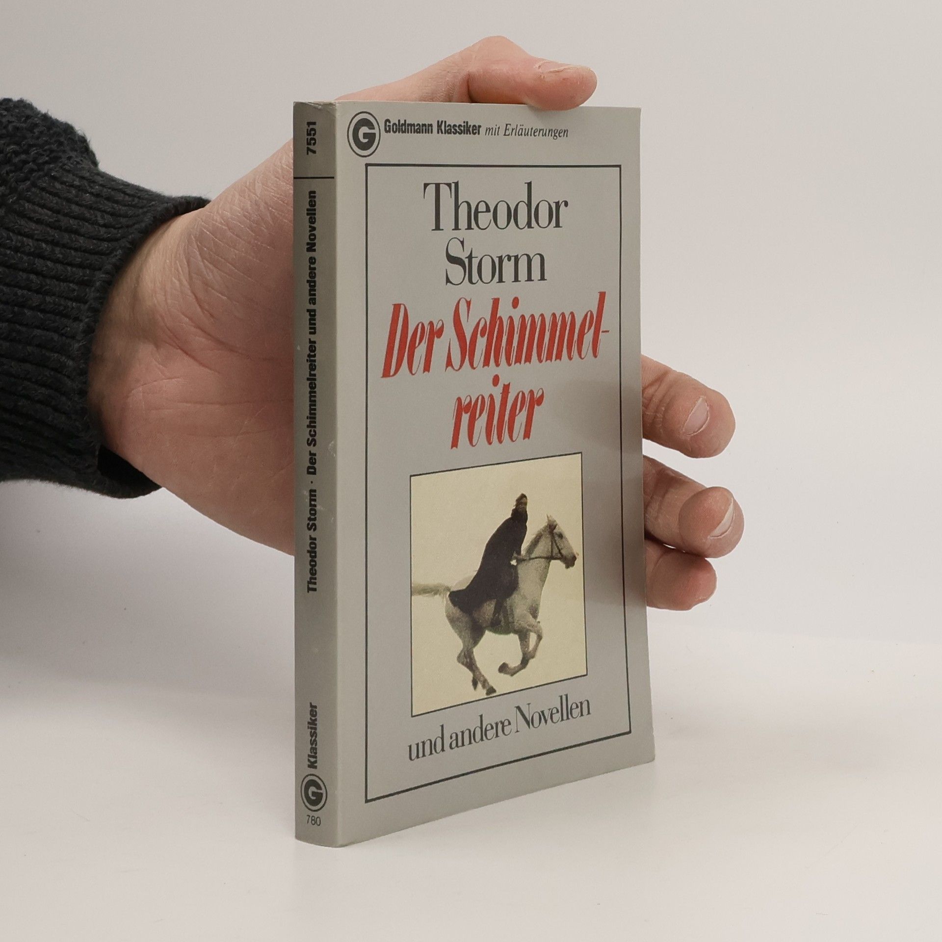 Theodor Storm Der Schimmelreiter und andere Novellen