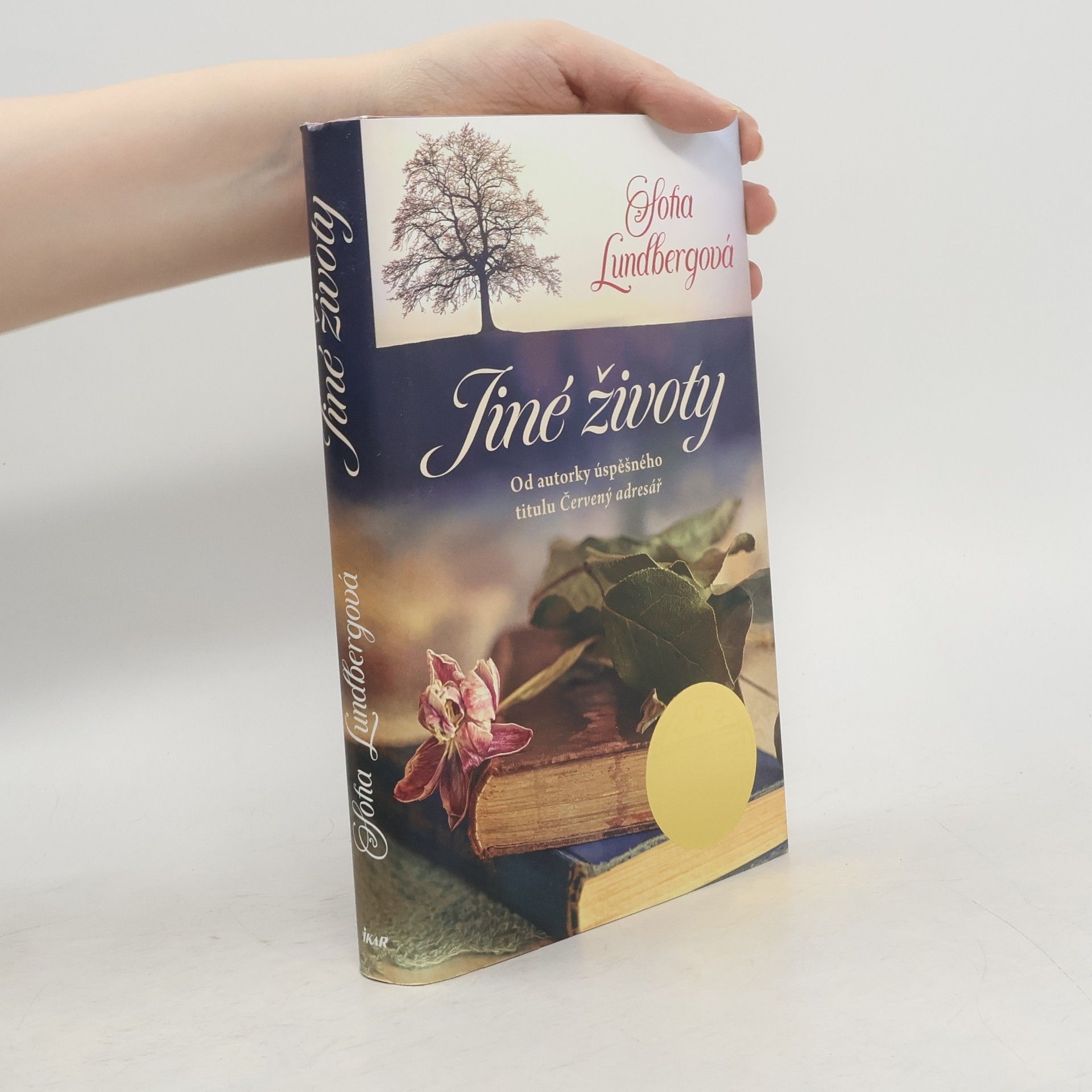 Sofia Lundberg Jiné životy