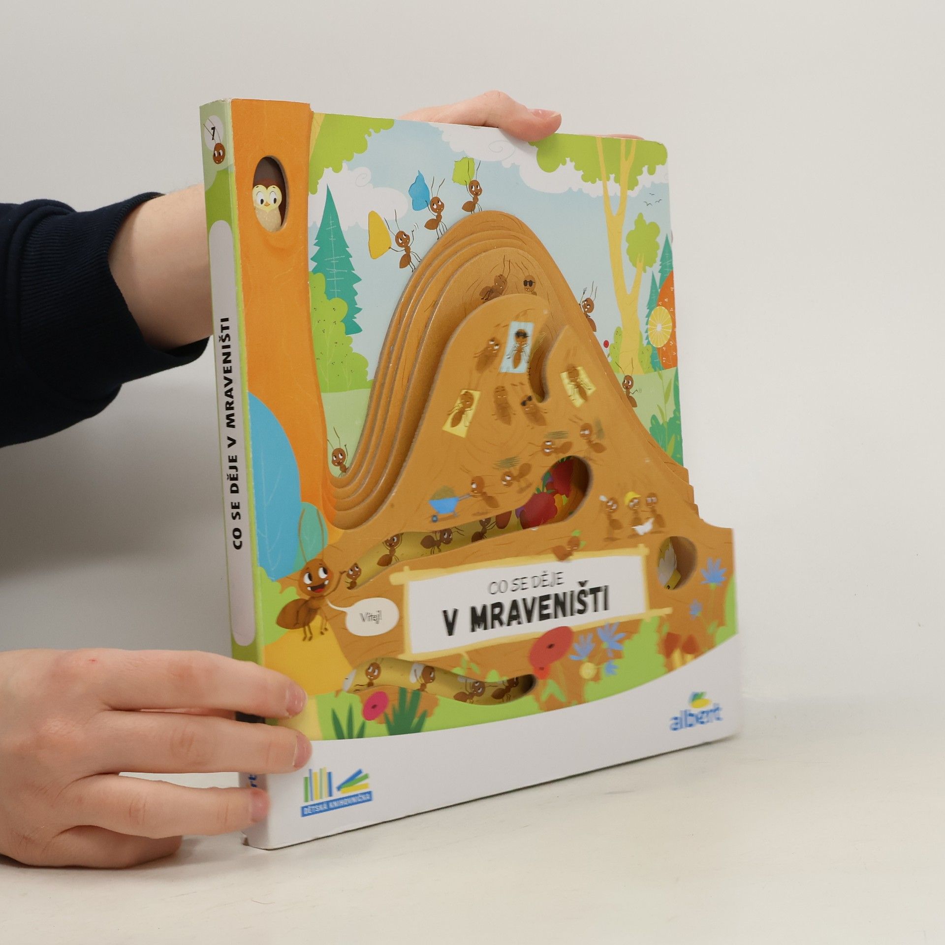 Kolektiv autorů Co se děje v mraveništi