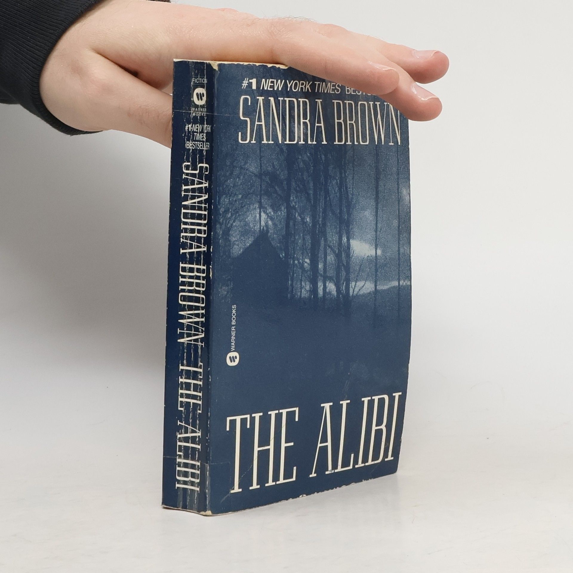 Sandra Brown The alibi