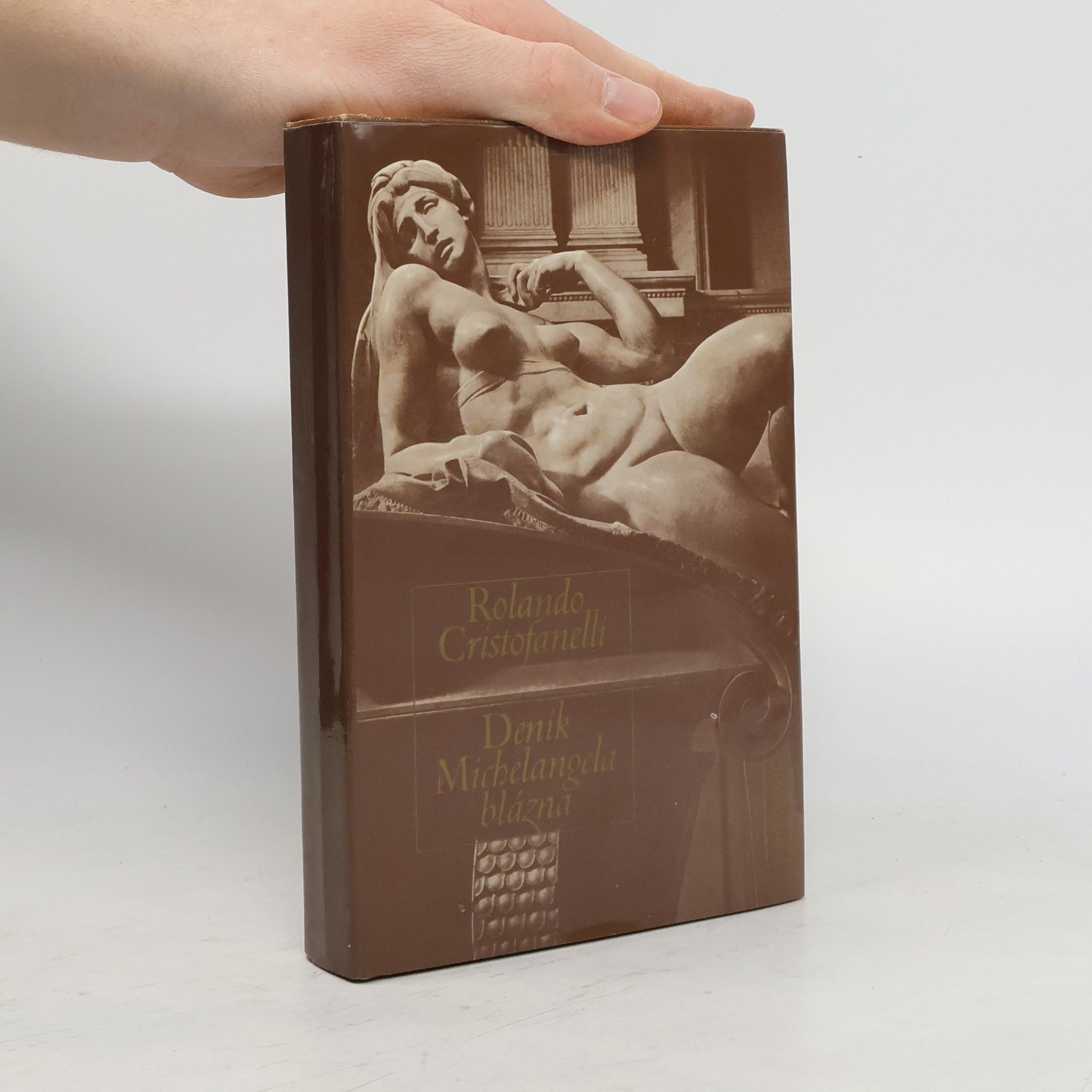 Rolando Cristofanelli Deník Michelangela blázna