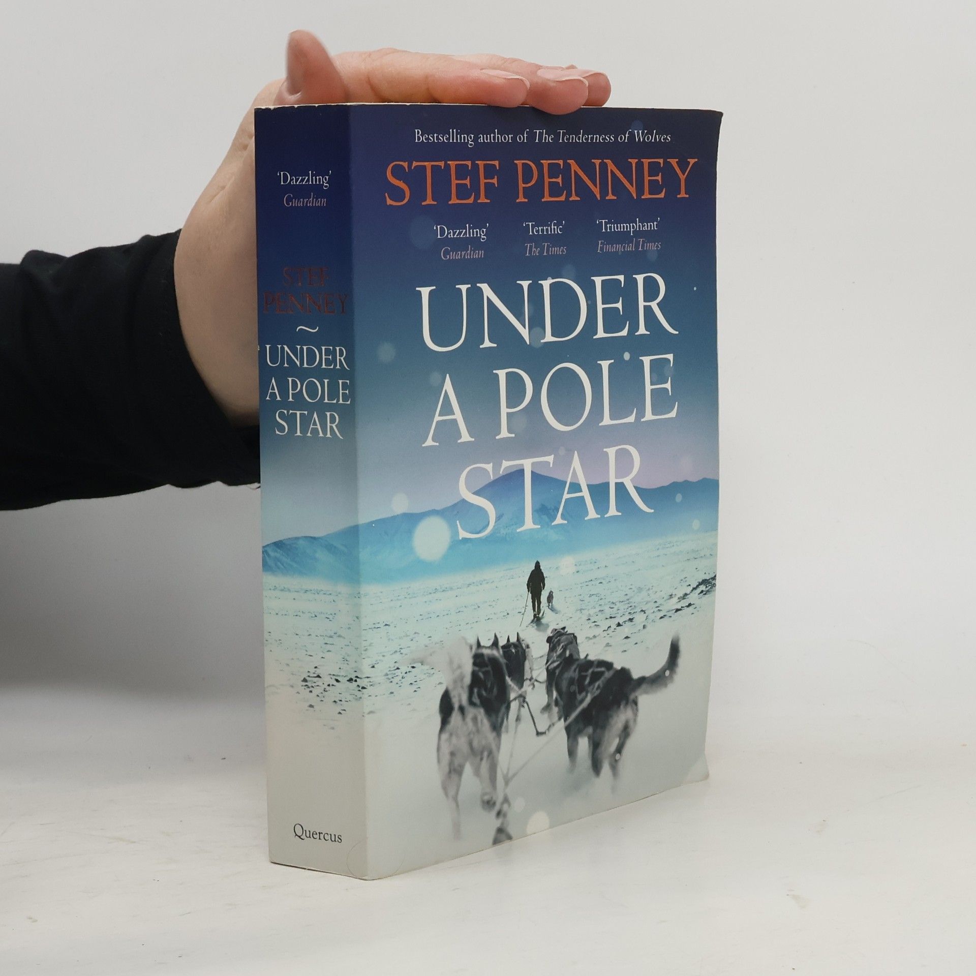 Stef Penney Under A Pole Star