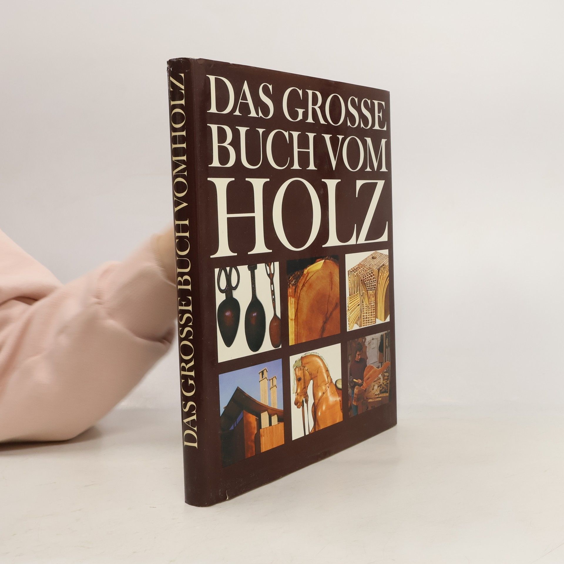 Autorenkollektiv Das grosse Buch vom Holz