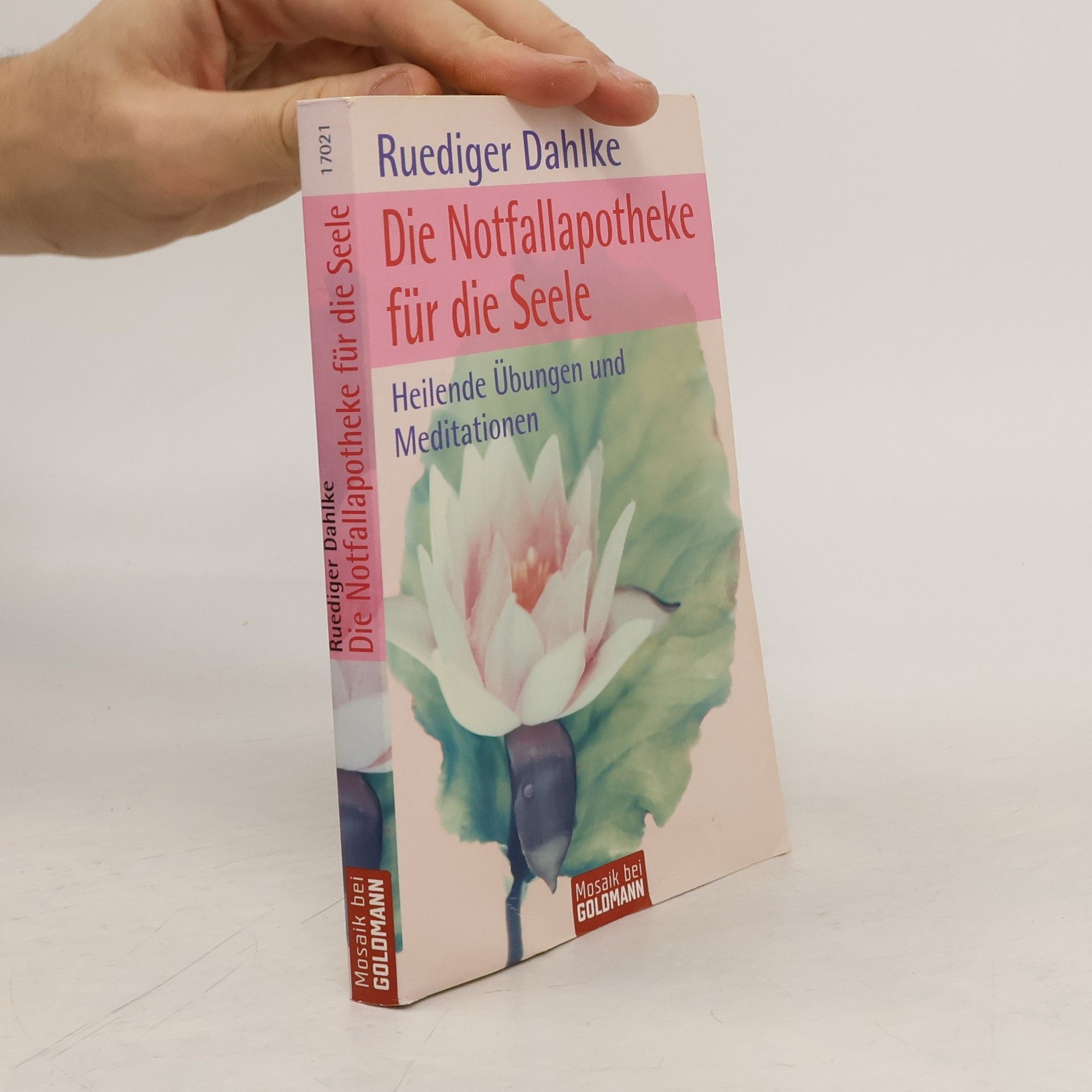 Ruediger Dahlke Die Notfallapotheke für die Seele