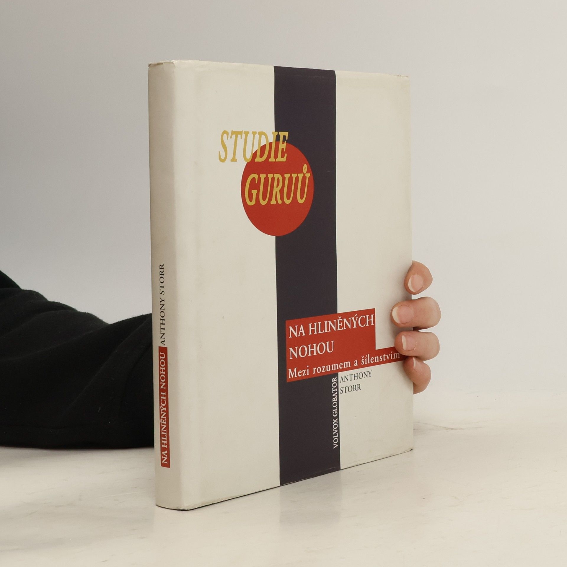 Na hliněných nohou: Studie guruů