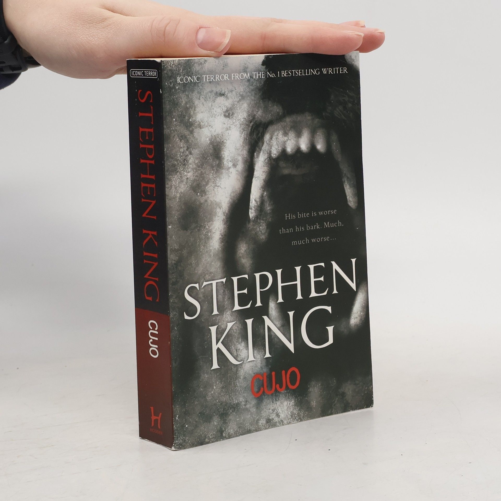 Stephen King Cujo