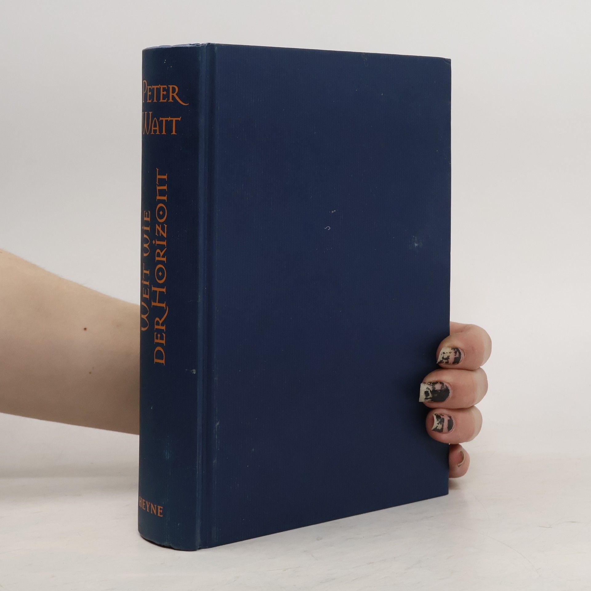 Peter Watt Weit wie der Horizont