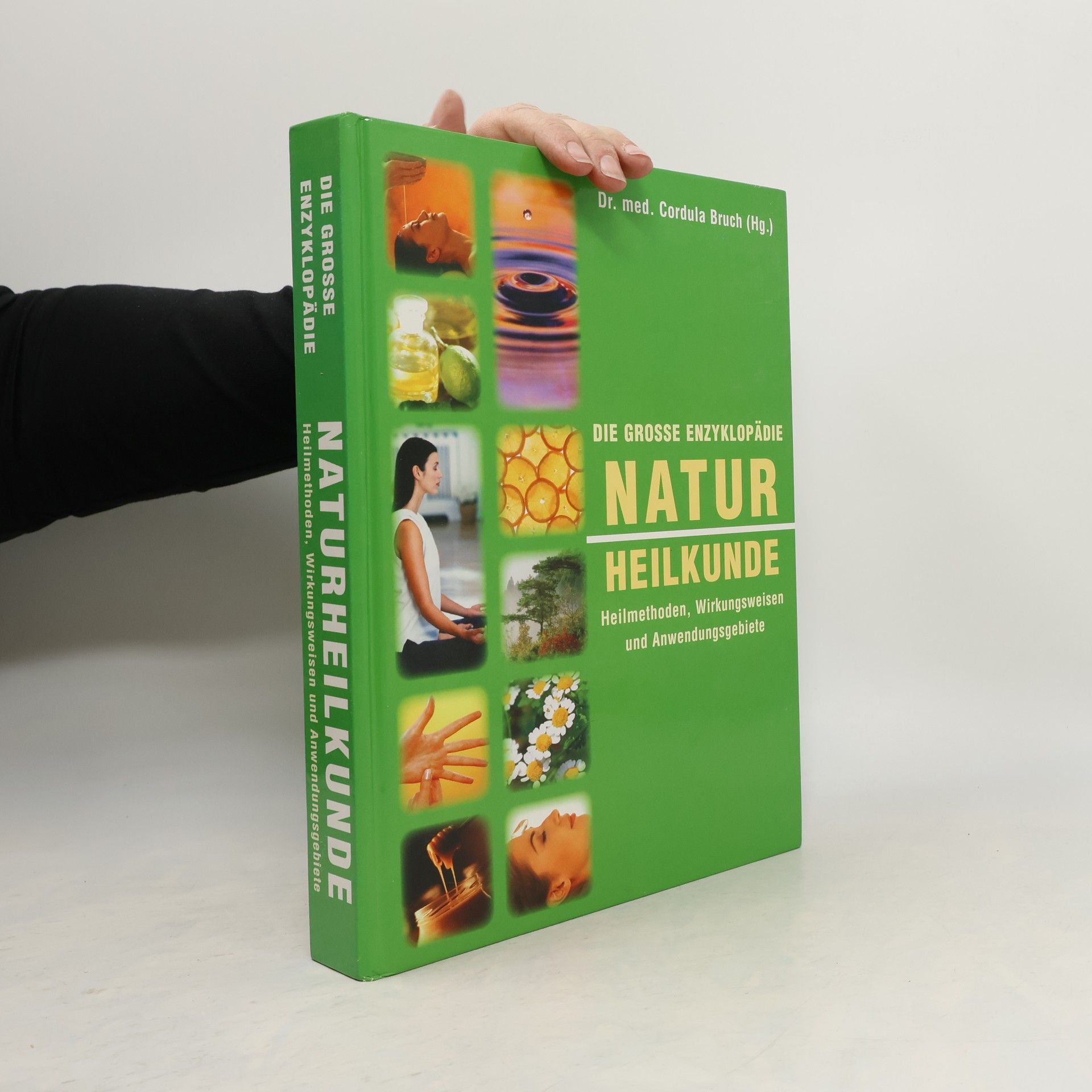 Kolektiv autorů Die große Enzyklopädie Naturheilkunde: Heilmethoden, Wirkungsweisen und Anwendungsgebiete