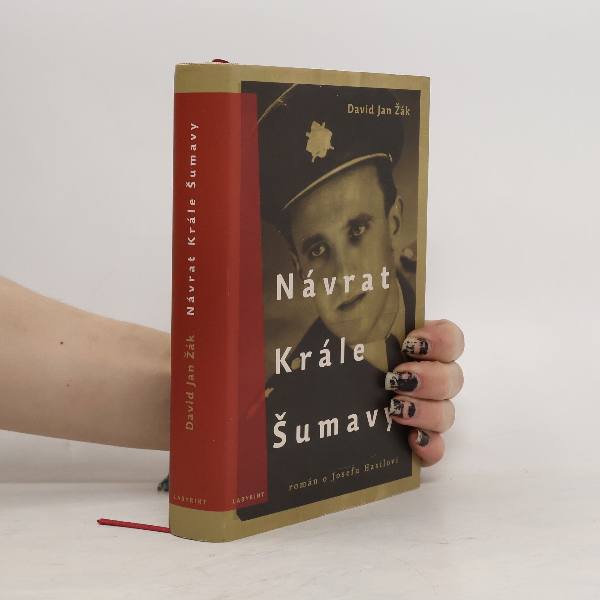 David Jan Žák Návrat Krále Šumavy