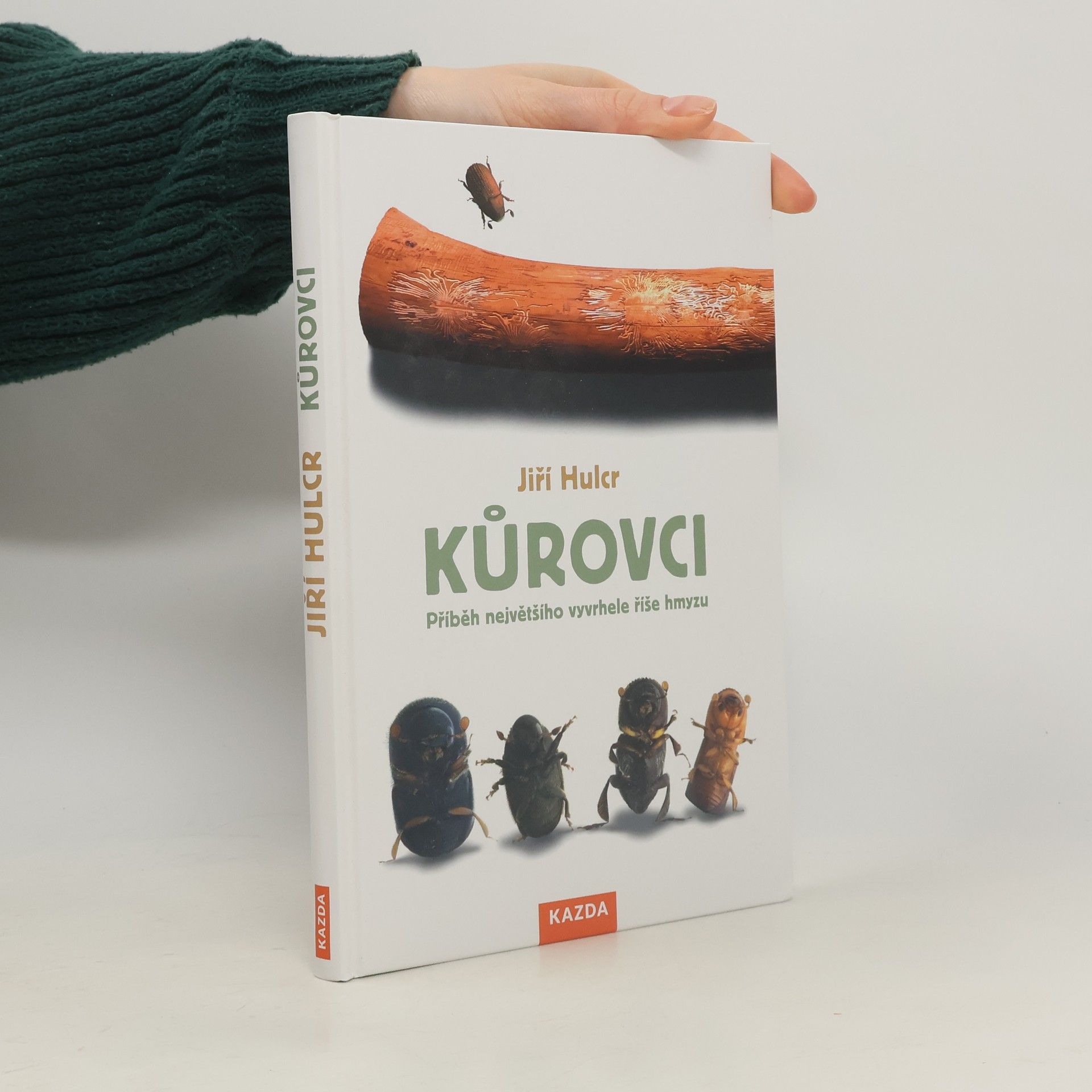 Jiří Hulcr Kůrovci