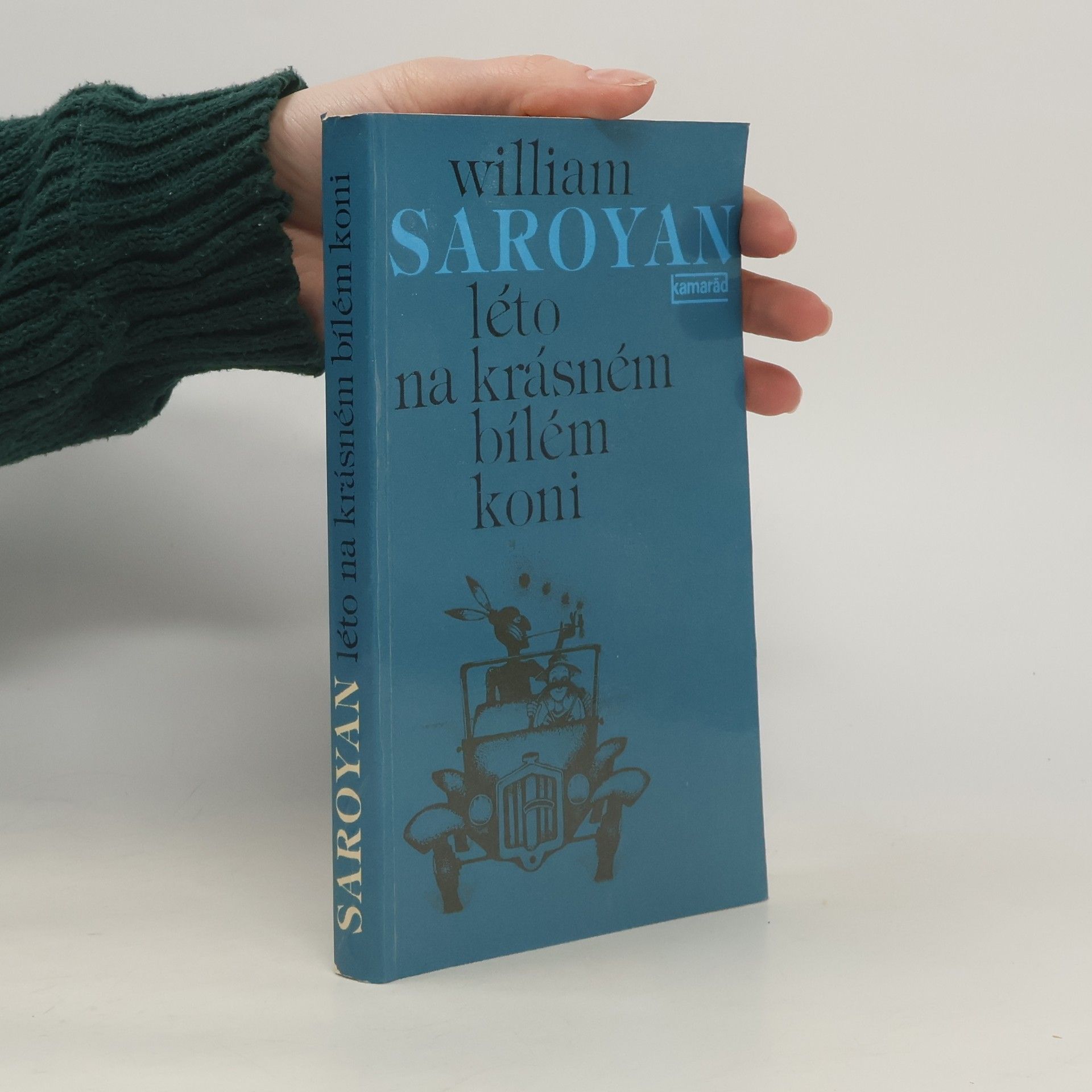 Léto na krásném bílém koni