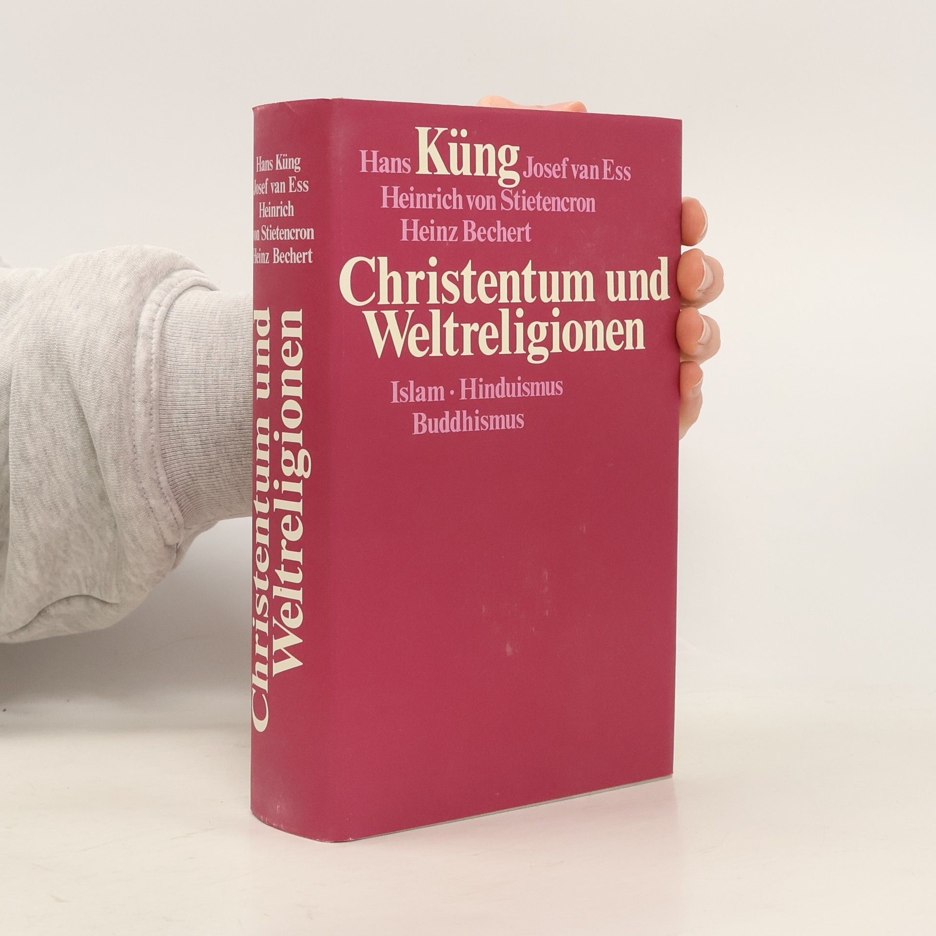 Hans Küng Christentum und Weltreligionen