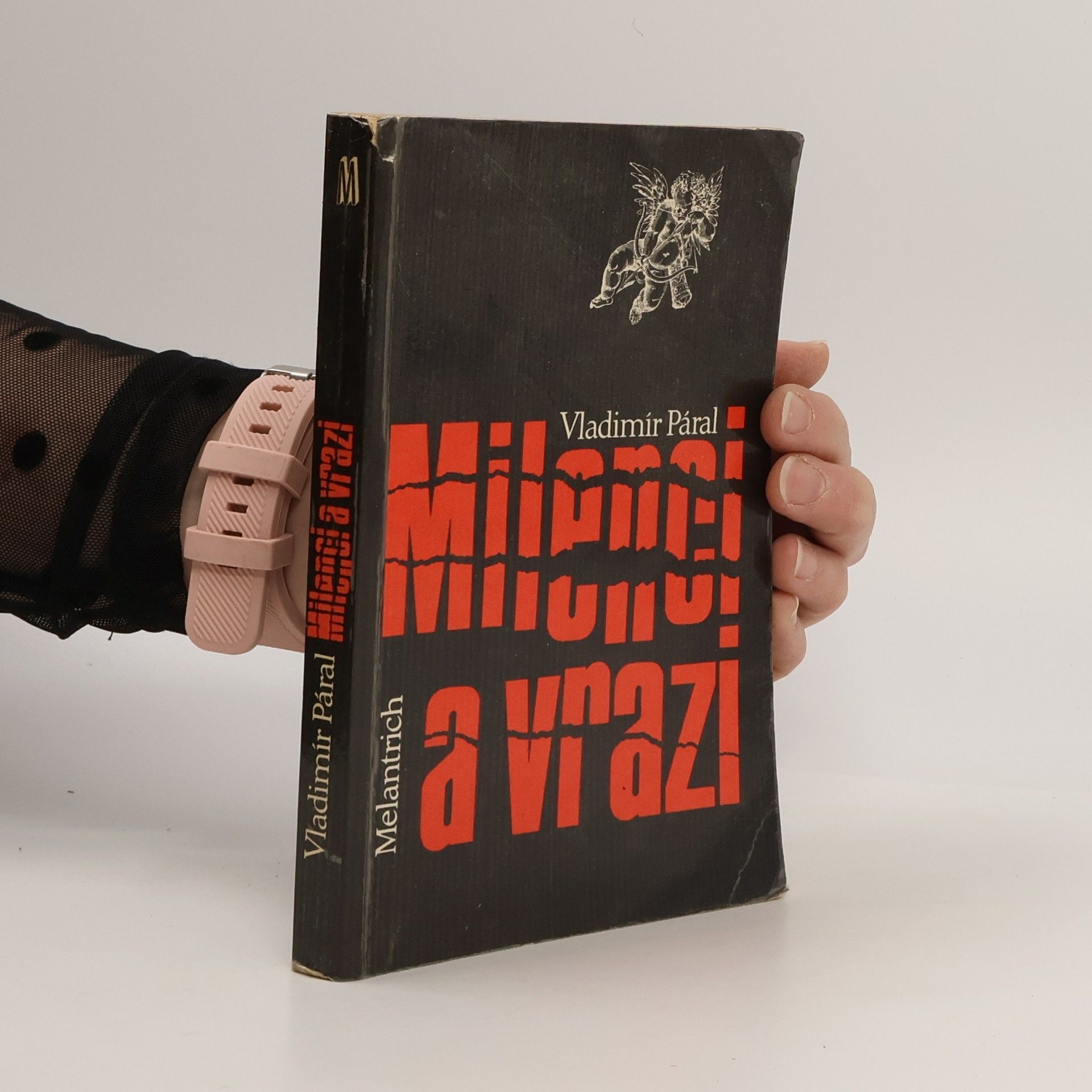 Vladimír Páral Milenci a vrazi