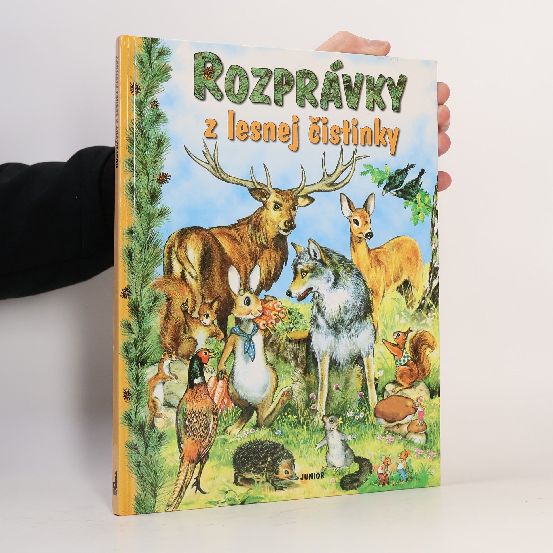 Kolektív autorov Rozprávky z lesnej čistinky