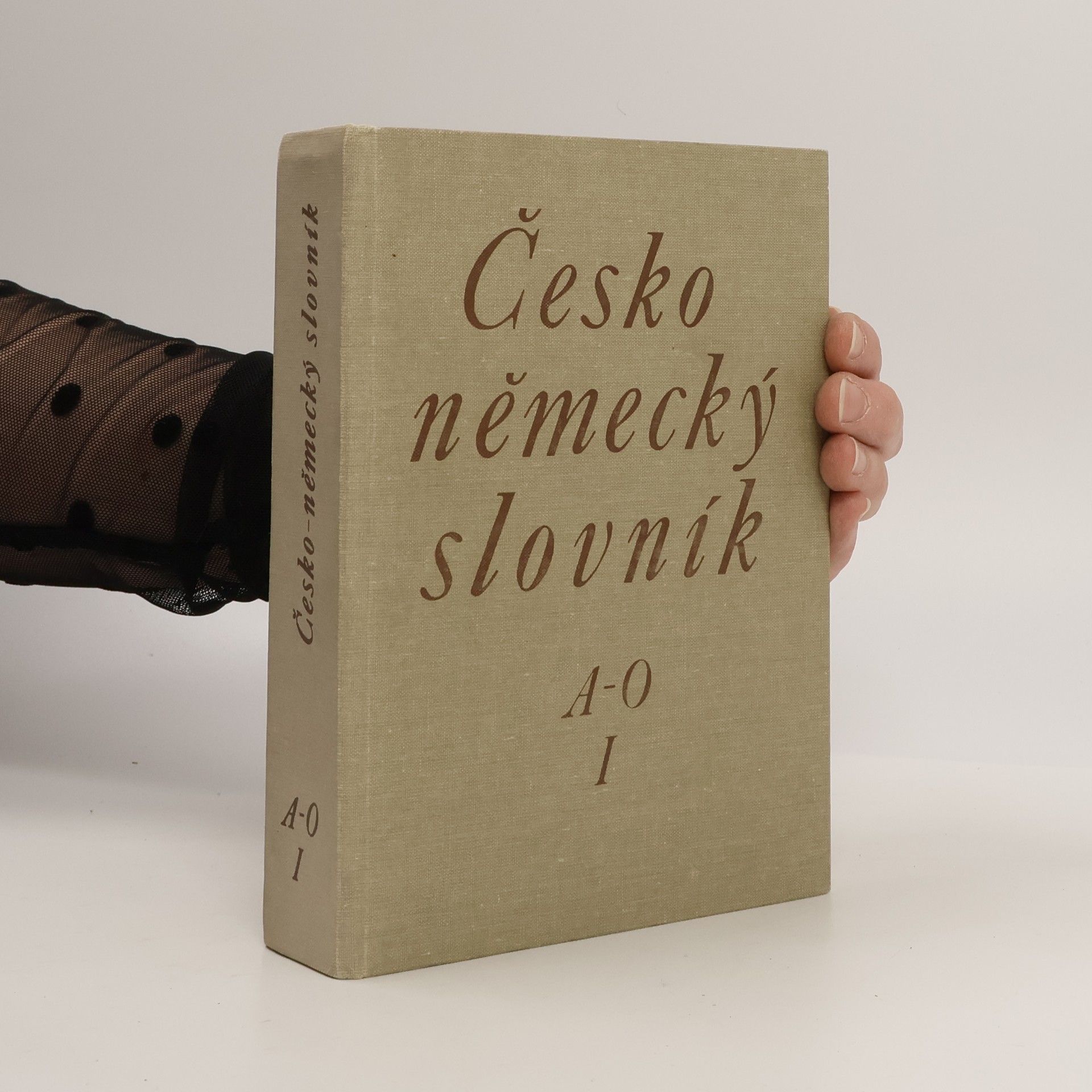 Hugo Siebenschein Česko-německý slovník I. A-O