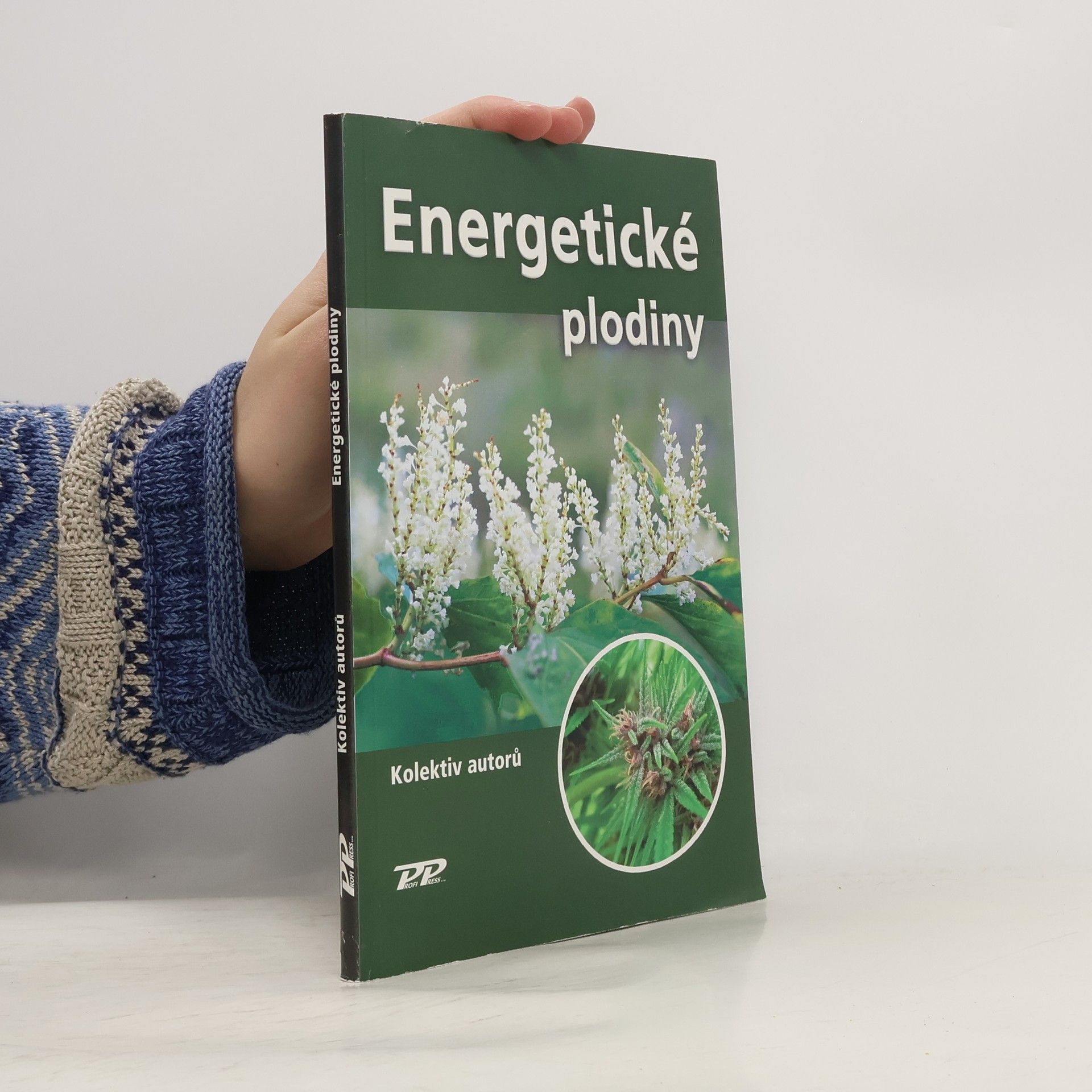 Vlasta Petříková Energetické plodiny