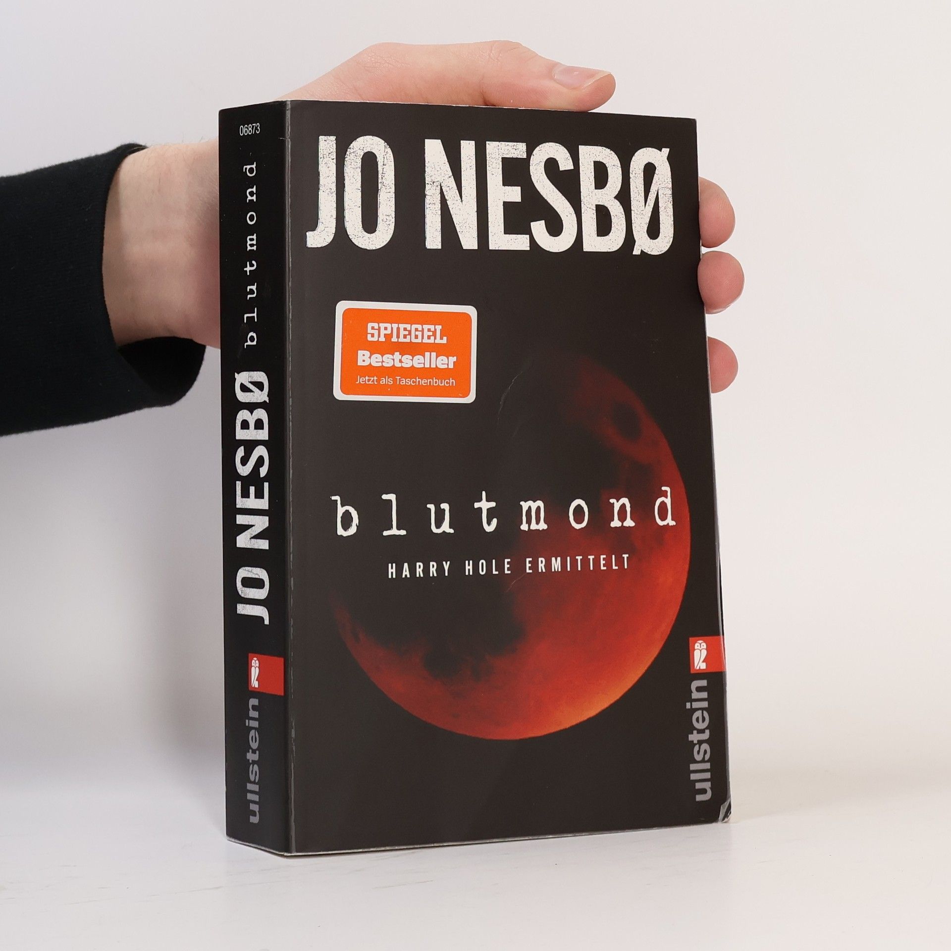 Blutmond (Ein Harry-Hole-Krimi 13)