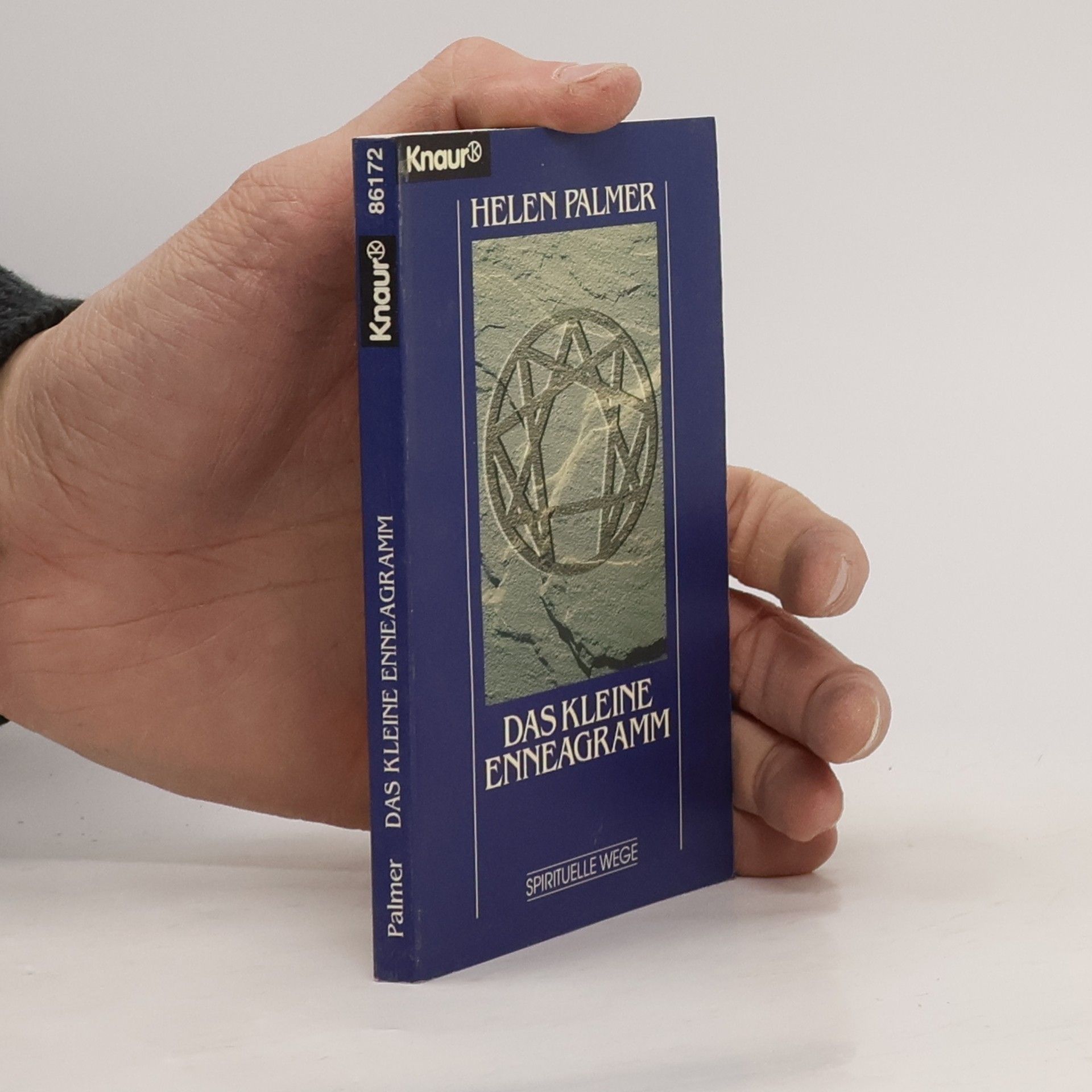 Helen Palmer Das kleine Enneagramm