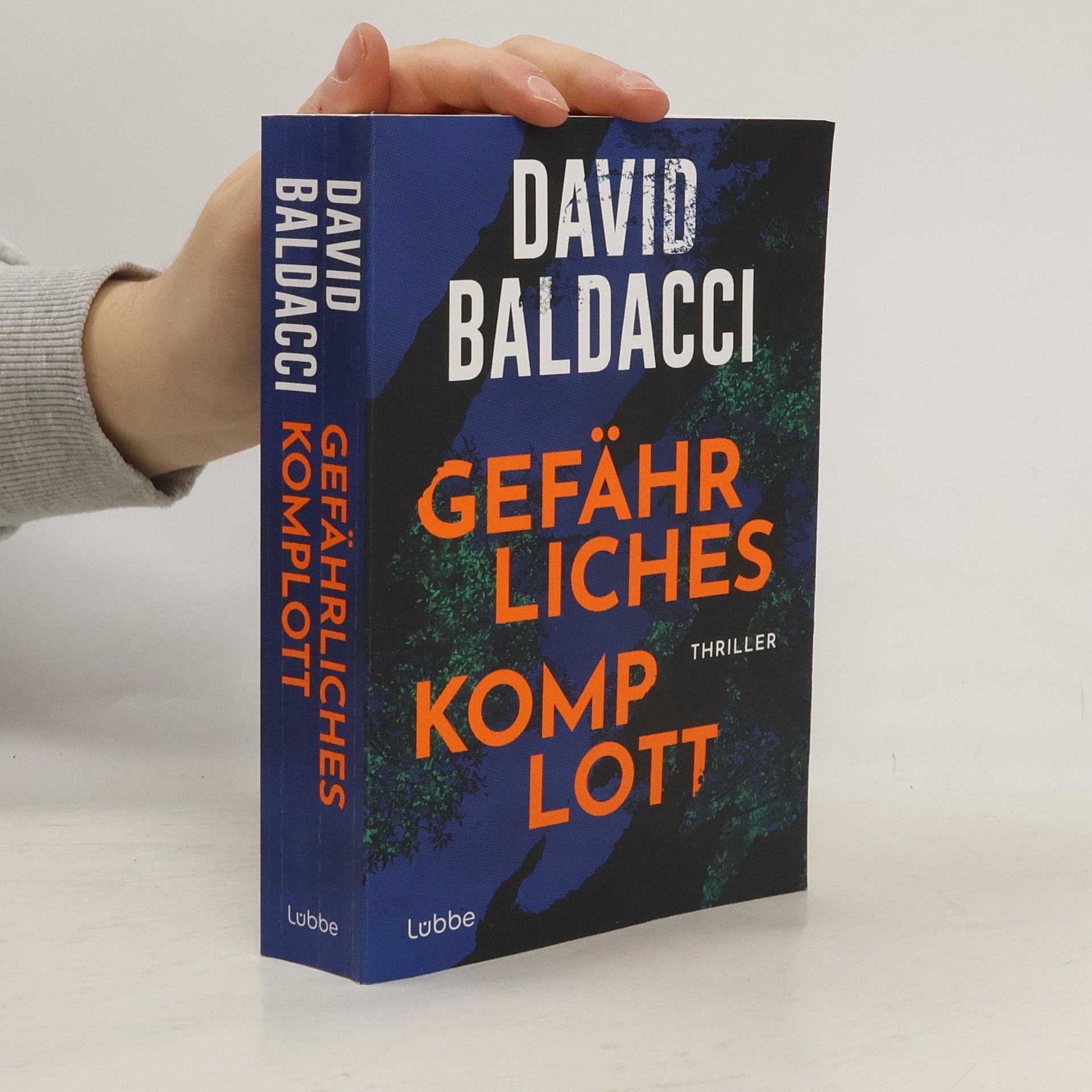 David Baldacci Gefährliches Komplott