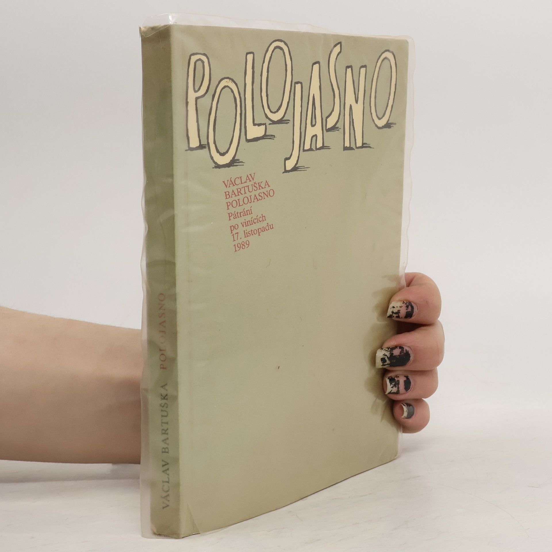 Václav Bartuška Polojasno