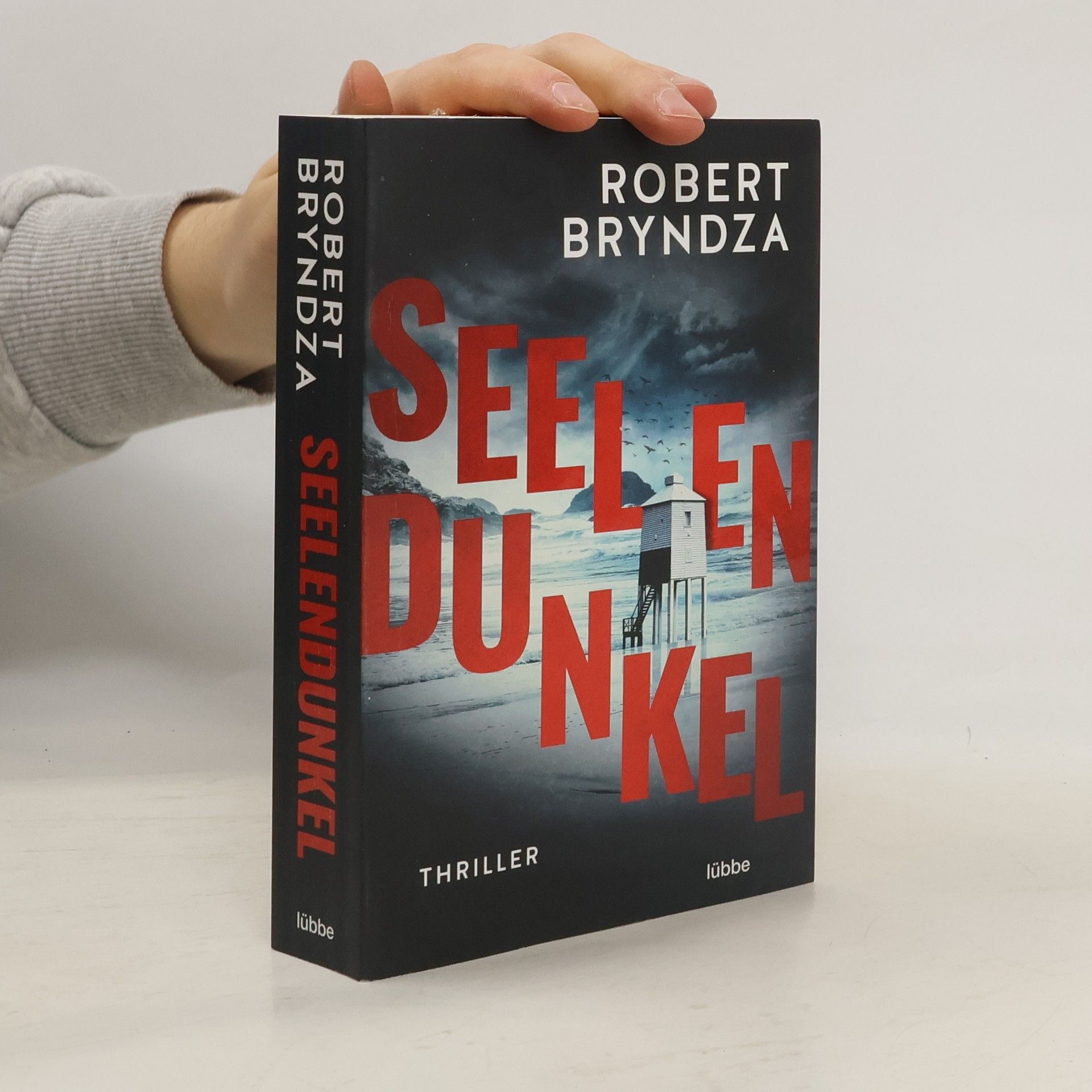 Robert Bryndza Seelendunkel