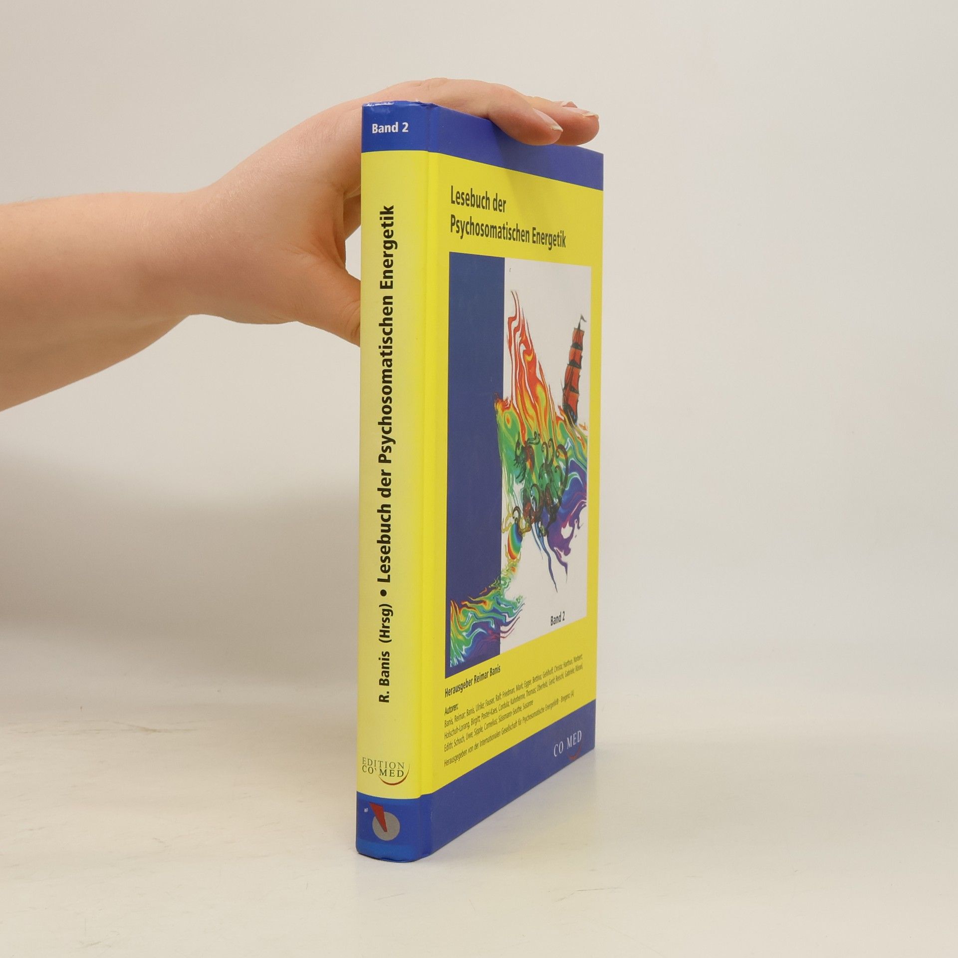 Lesebuch der Psychosomatischen Energetik. Band 2