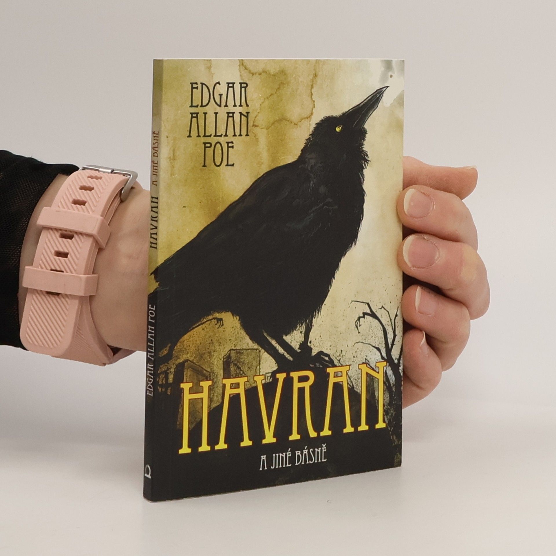 Edgar Allan Poe Havran a jiné básně