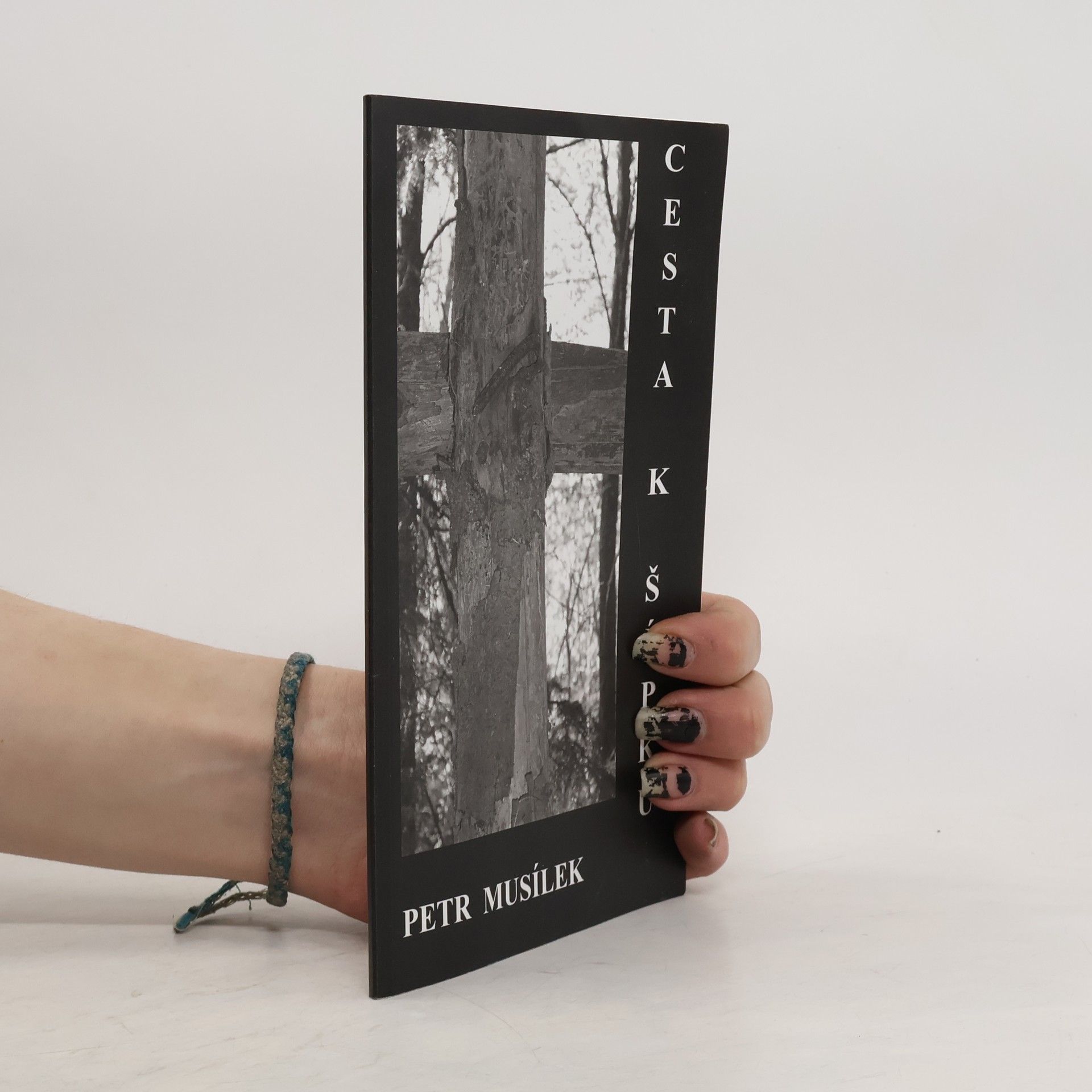 Petr Musílek Cesta k šípku