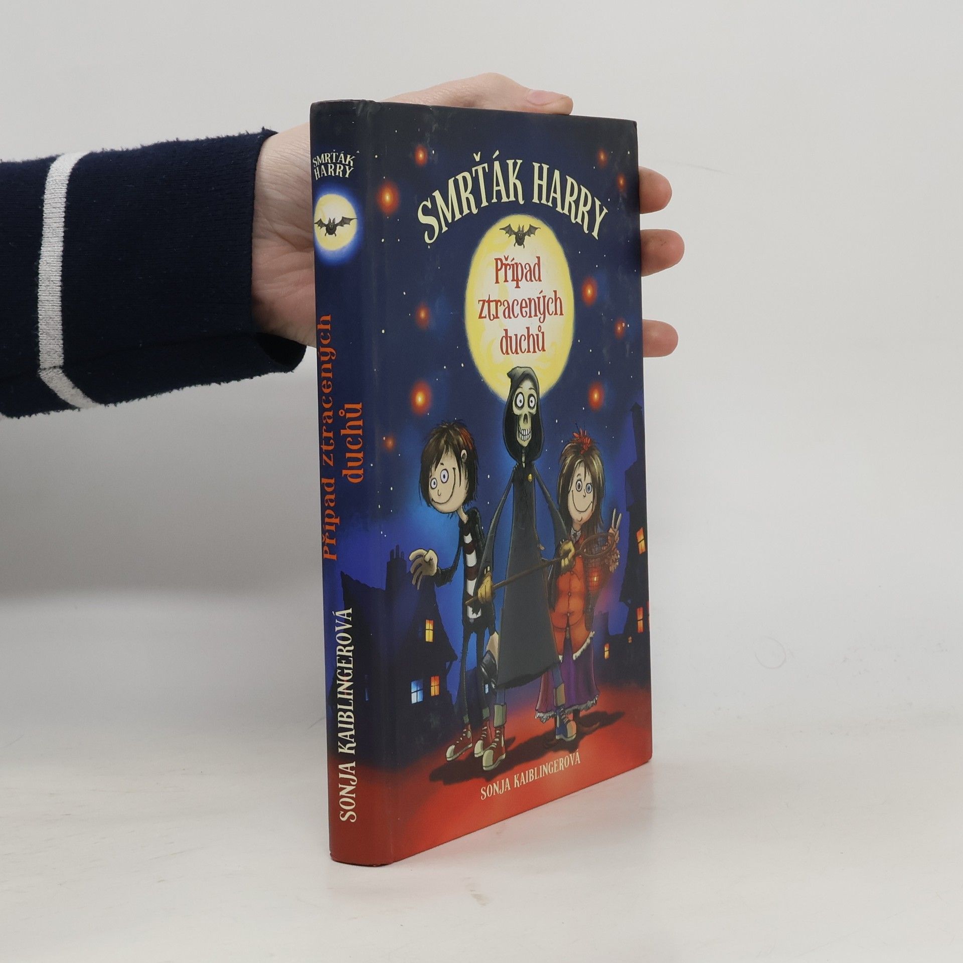 Sonja Kaiblinger Smrťák Harry. 1. díl, Případ ztracených duchů