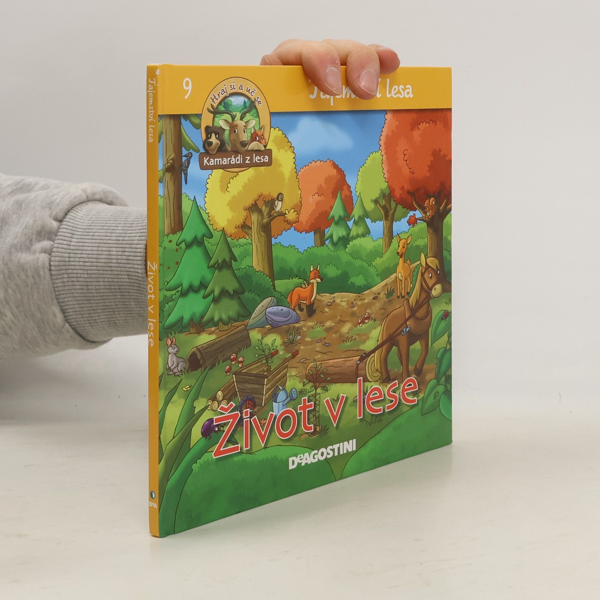 Kolektiv autorů Tajemství lesa 9. Život v lese