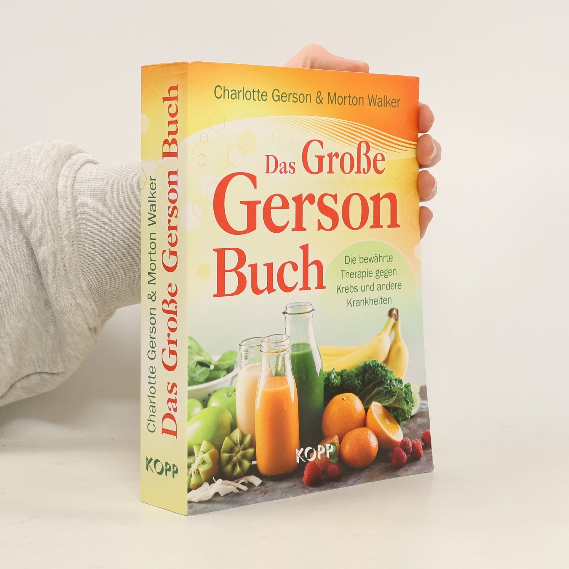 Charlotte Gerson Das große Gerson Buch