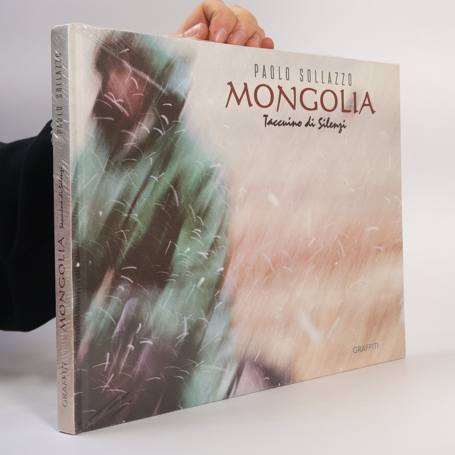 Paolo Sollazzo Mongolia. Taccuino di silenzi. Ediz. bilingue