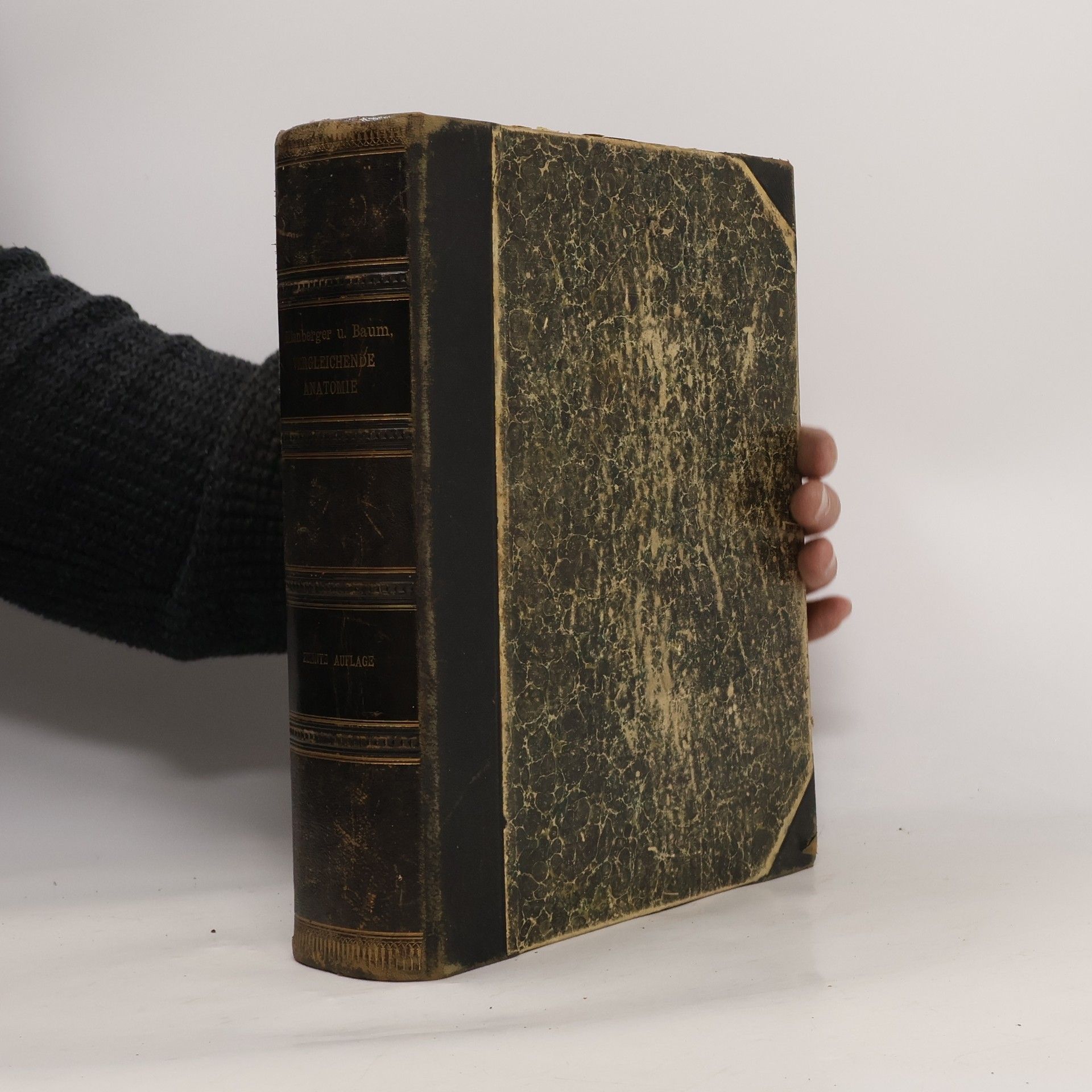 Handbuch der vergleichenden Anatomie der Haustiere