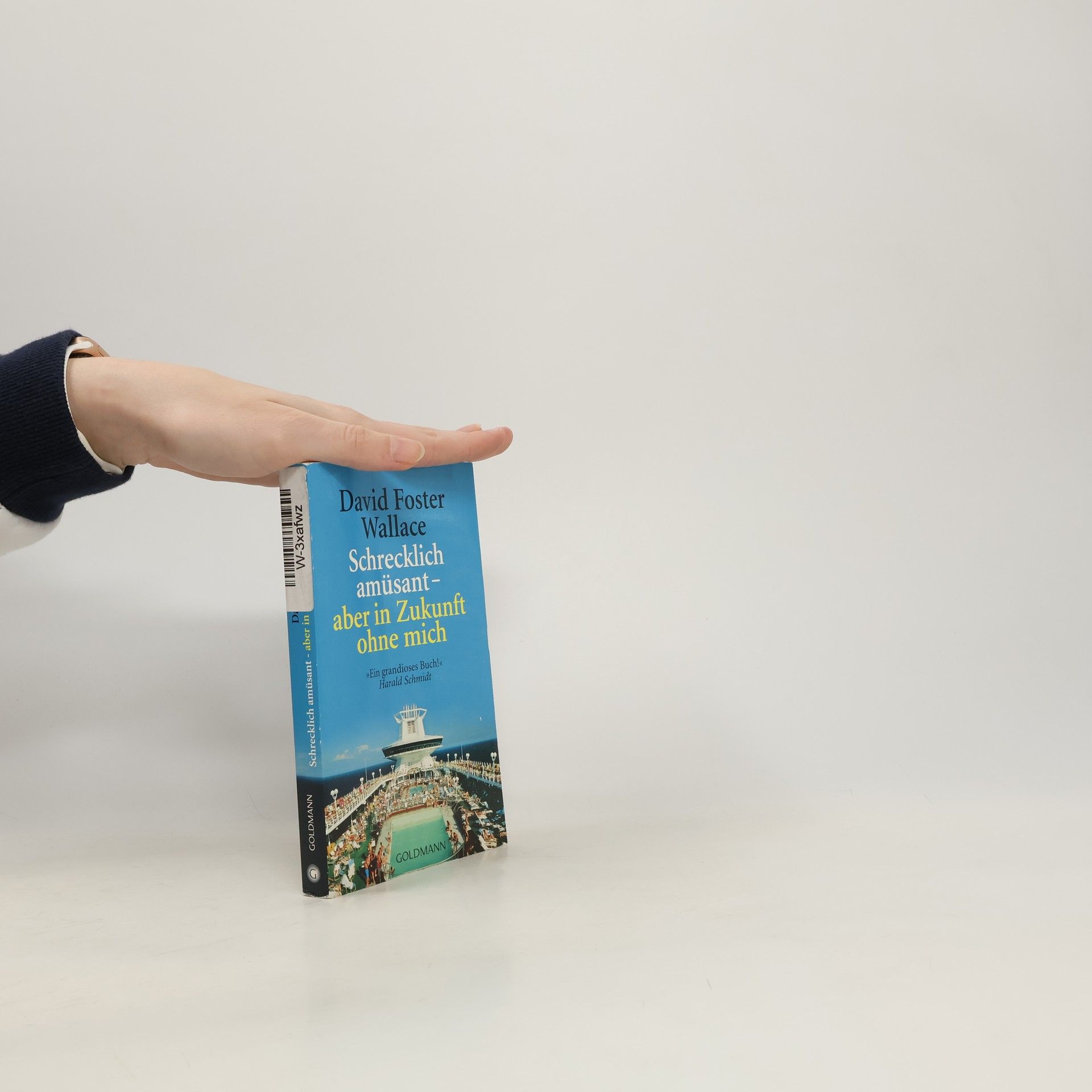 David Foster Wallace Schrecklich amüsant - aber in Zukunft ohne mich