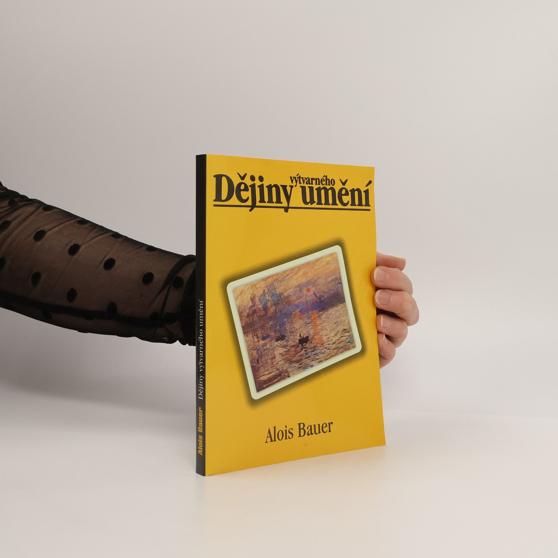 Alois Bauer Dějiny výtvarného umění