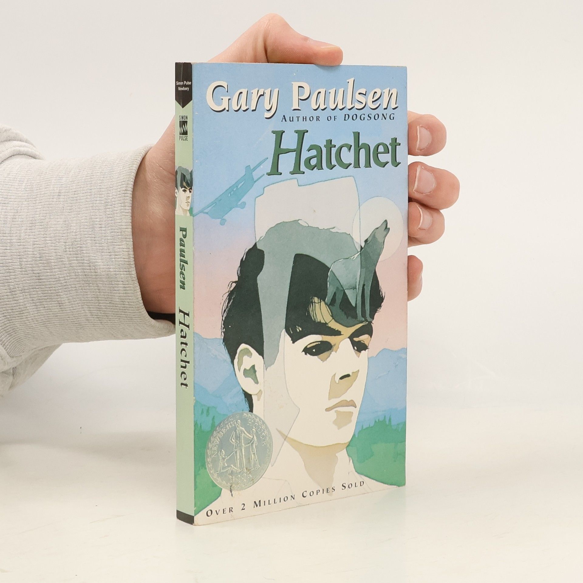 Gary Paulsen Hatchet