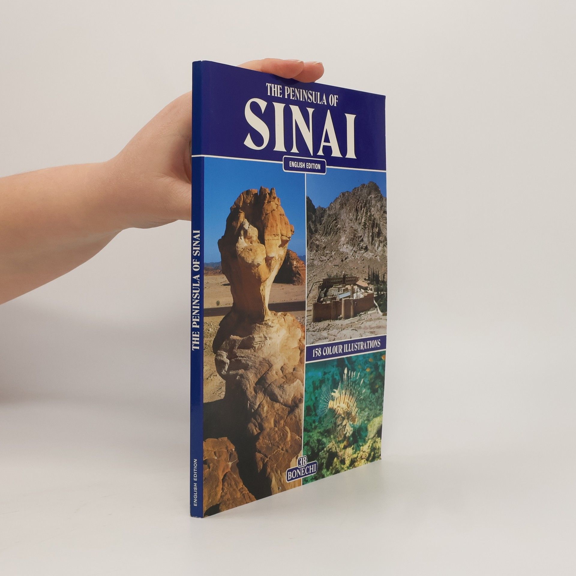 Giovanna Magi The Peninsula of Sinai