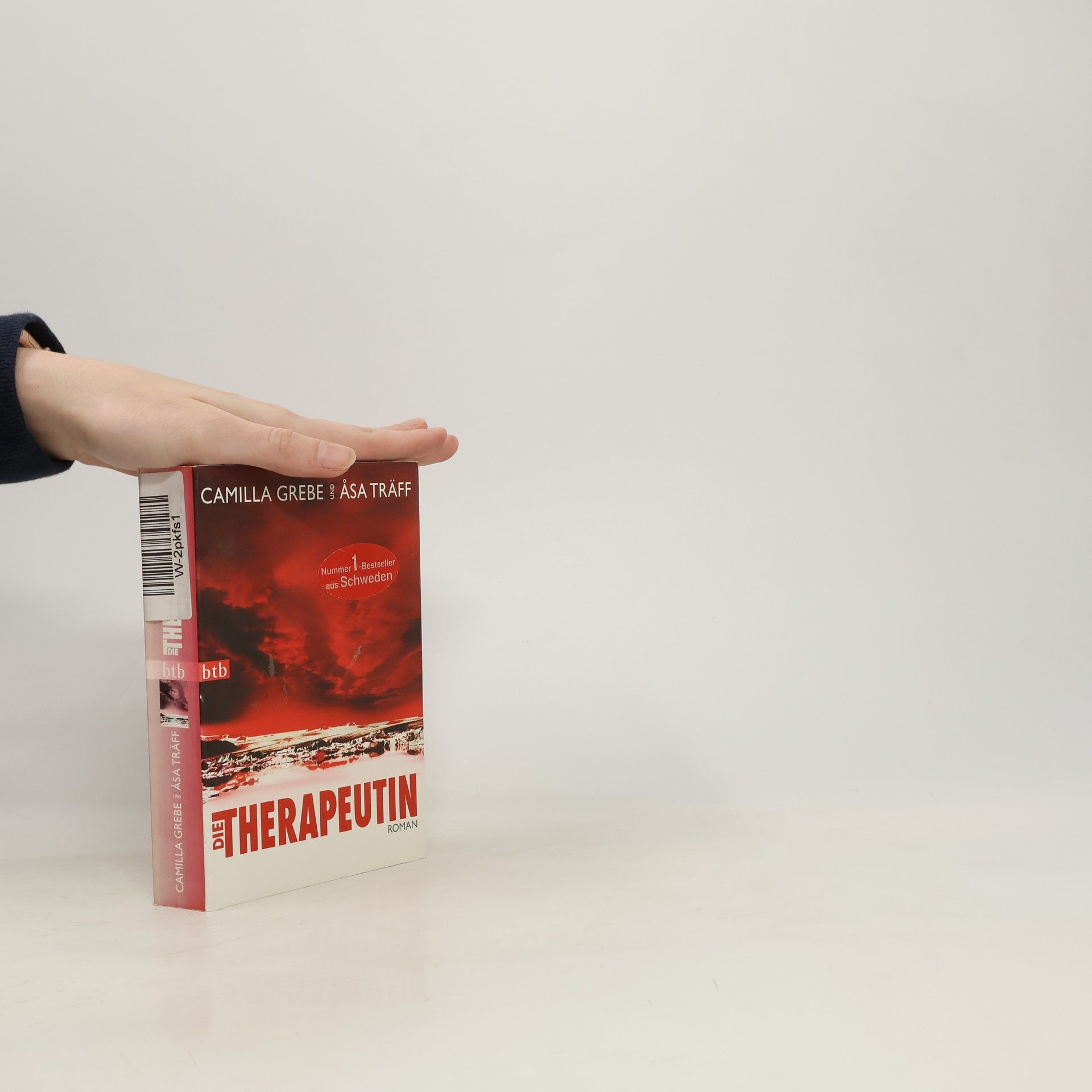 Camilla Grebe Die Therapeutin