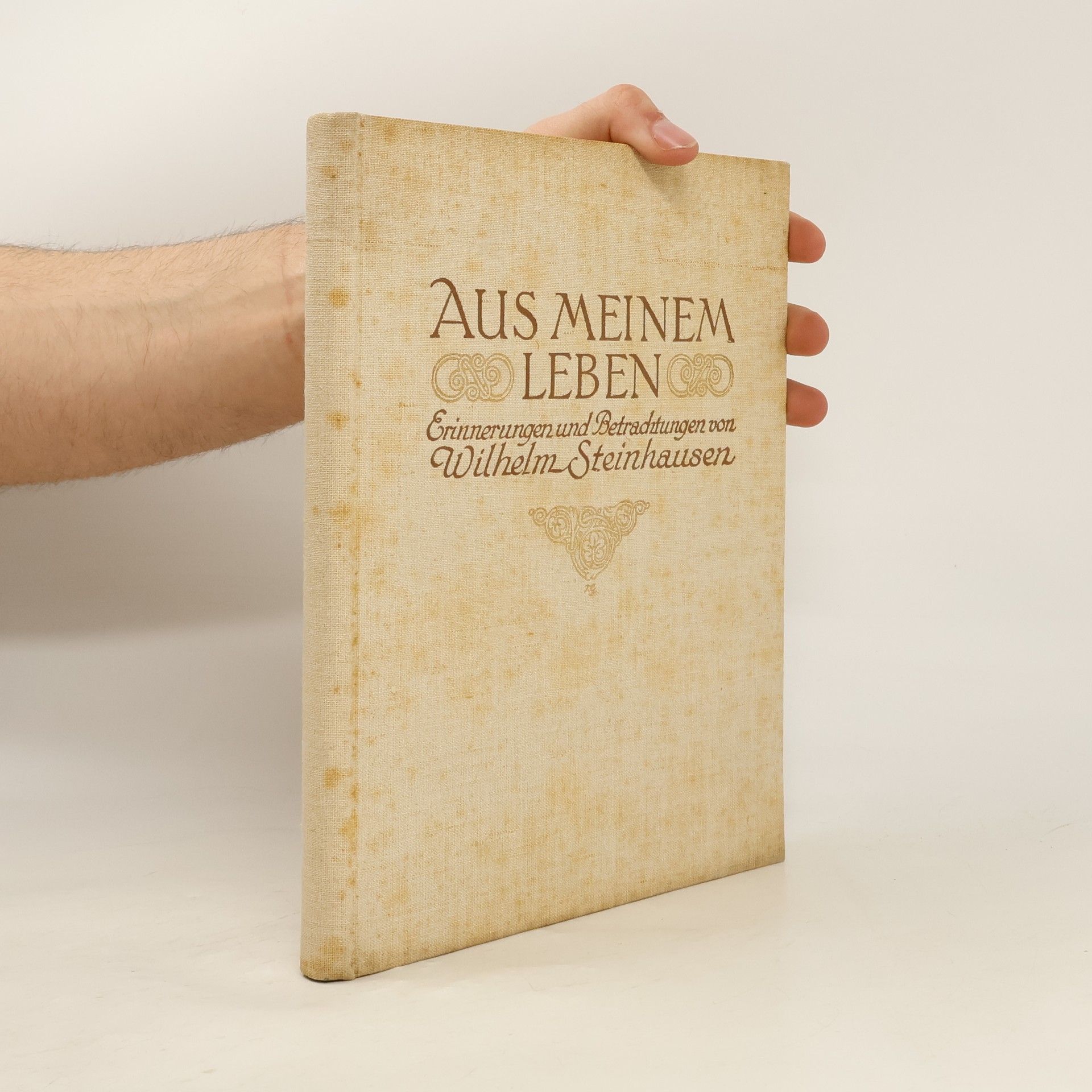 Wilhelm Steinhausen Aus meinem Leben