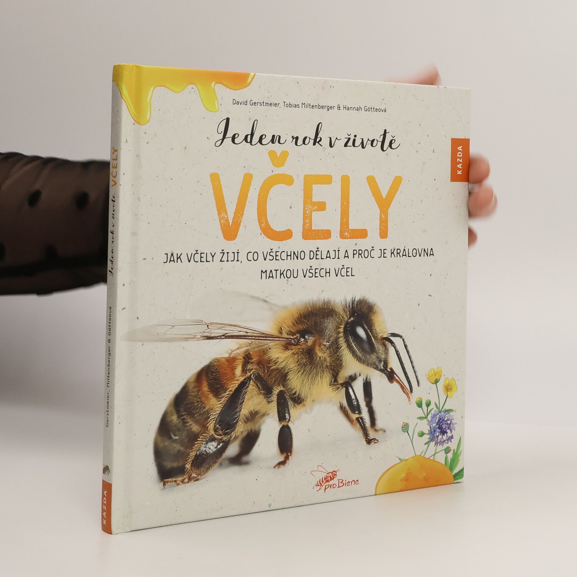 David Gerstmeier Jeden rok v životě včely