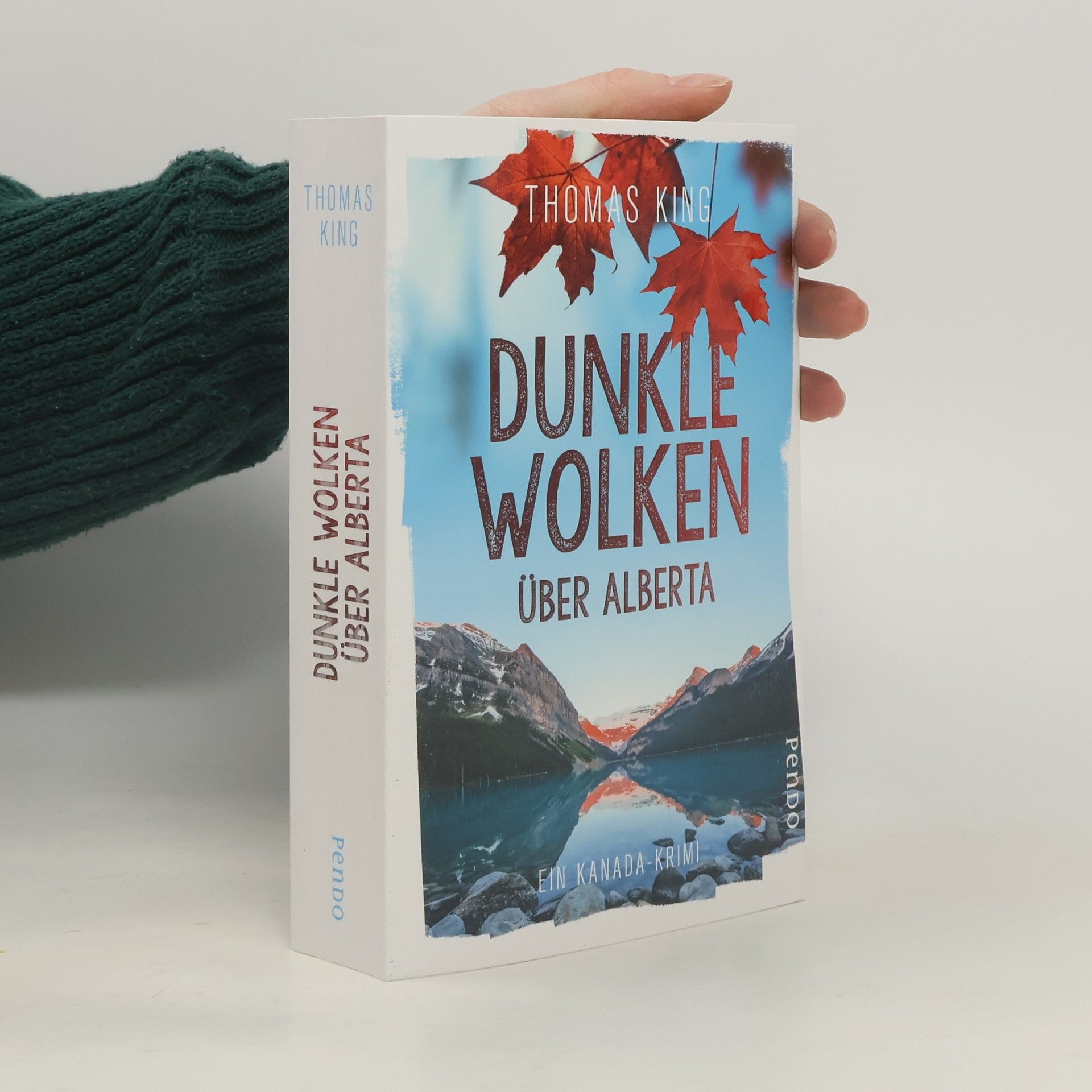 Thomas King Dunkle Wolken über Alberta