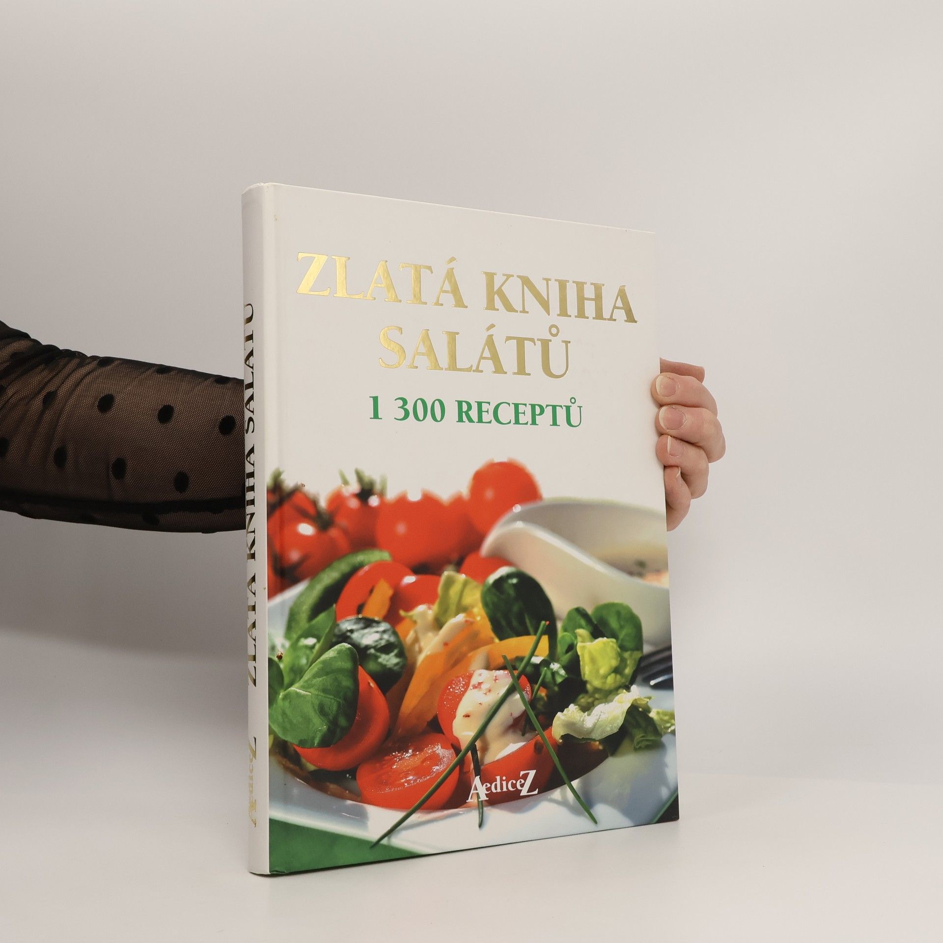 Autorenkollektiv Zlatá kniha salátů