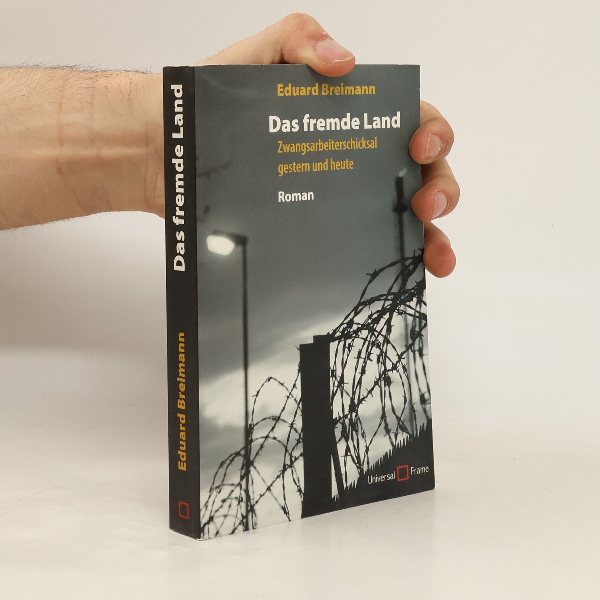 Eduard Breimann Das fremde Land