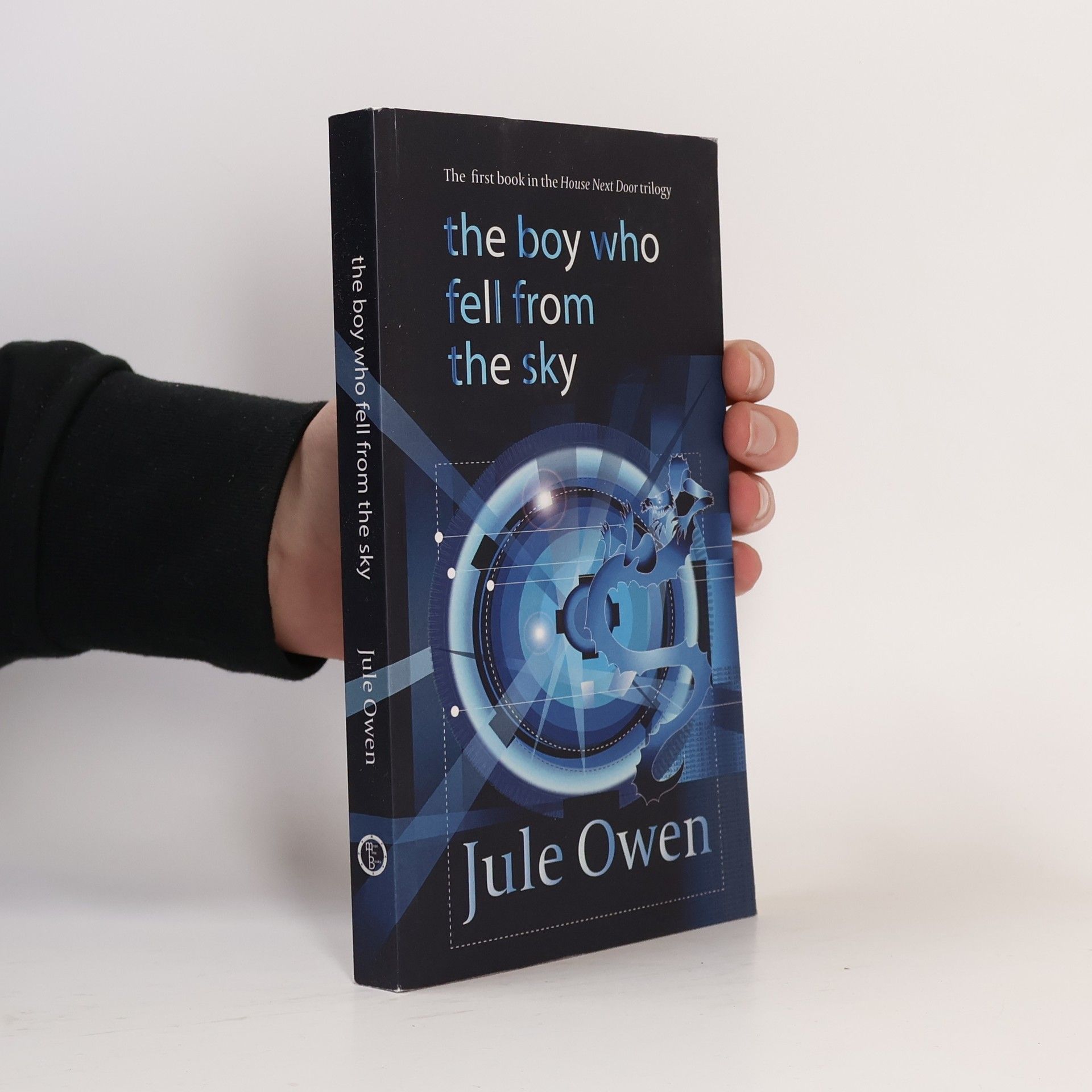 Jule Owen The Boy Who Fell from the Sky