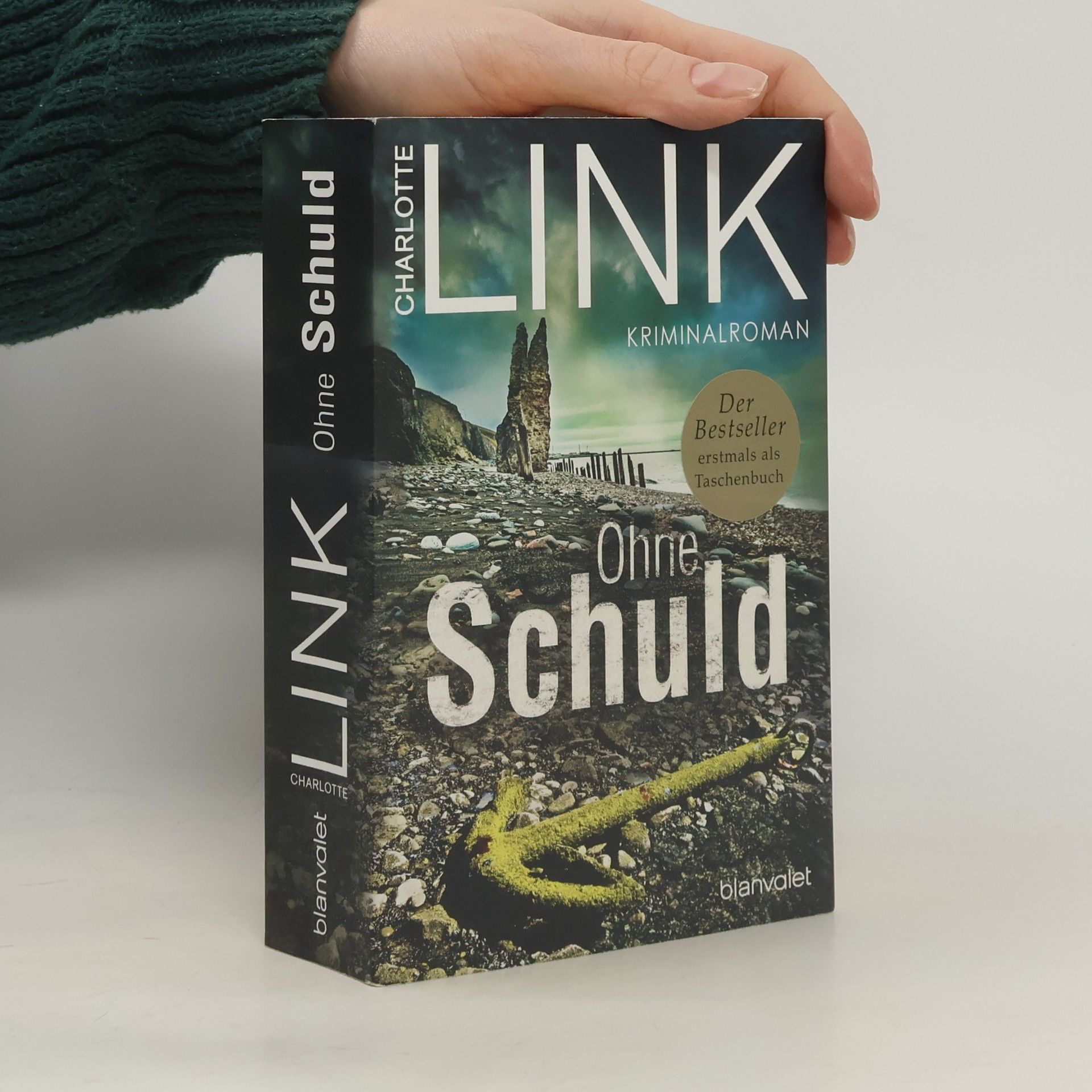 Charlotte Link Ohne Schuld