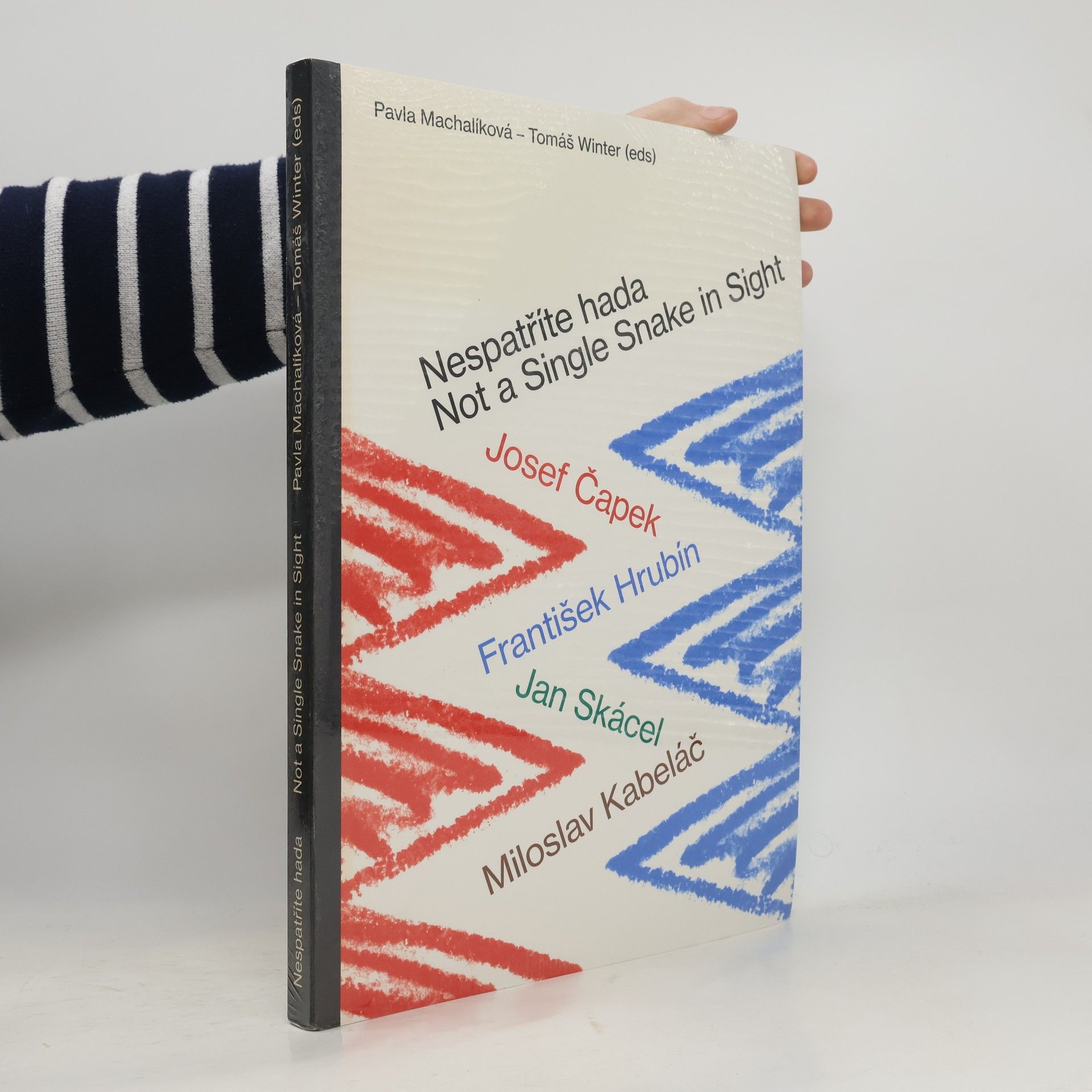 Pavla Machalíková Nespatříte hada = Not a single snake in sight : Josef Čapek, František Hrubín, Jan Skácel, Miloslav Kabeláč